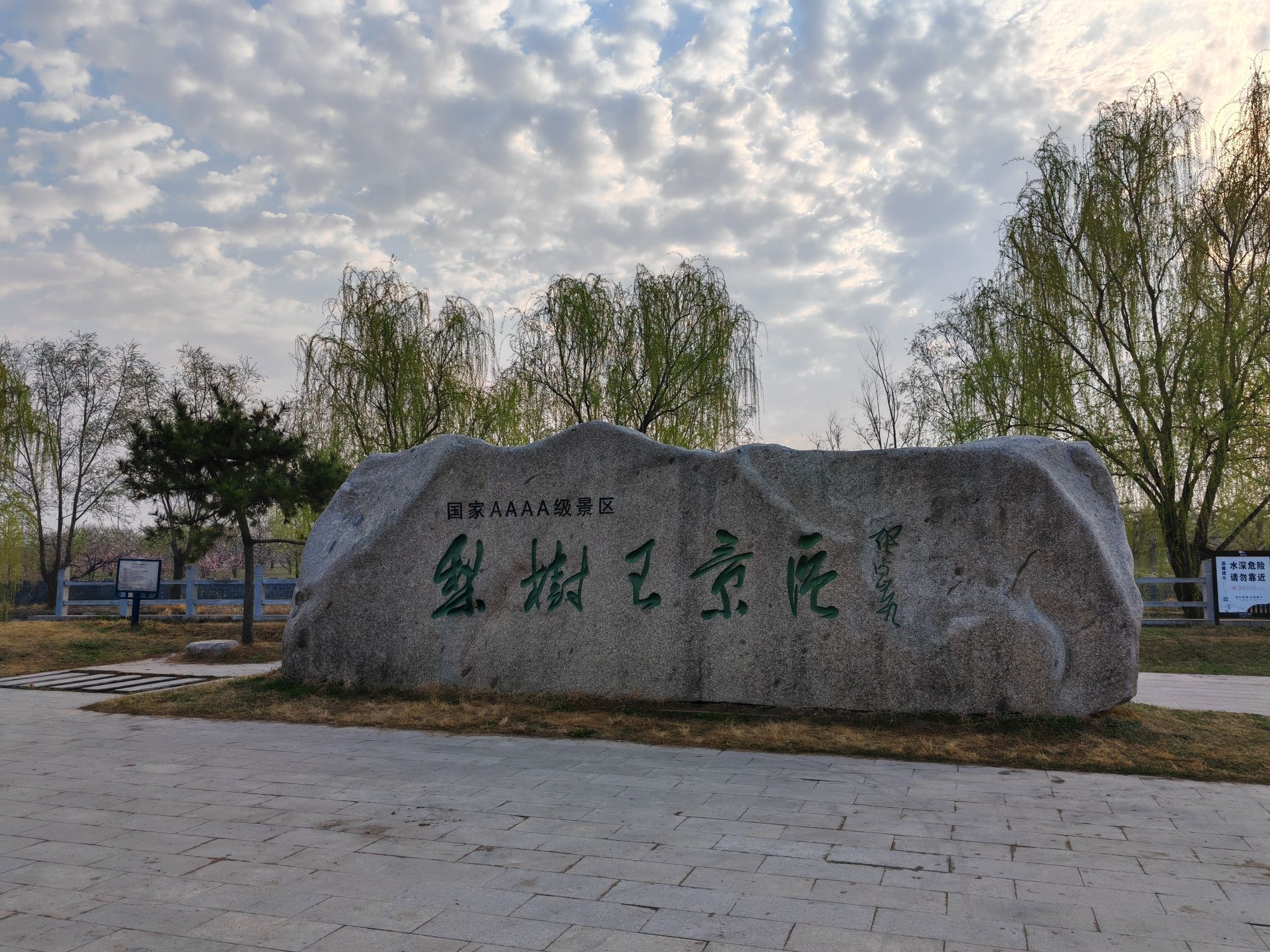 砀山梨树王景区旅行图片