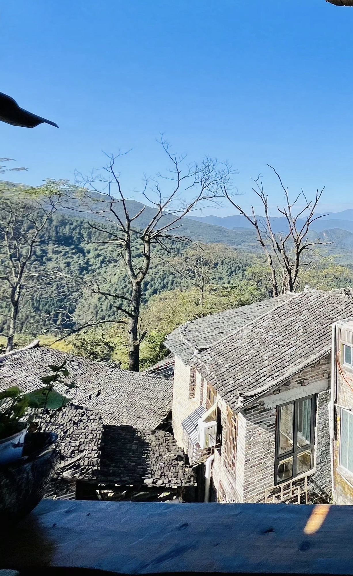 连山欧家梯田旅行图片