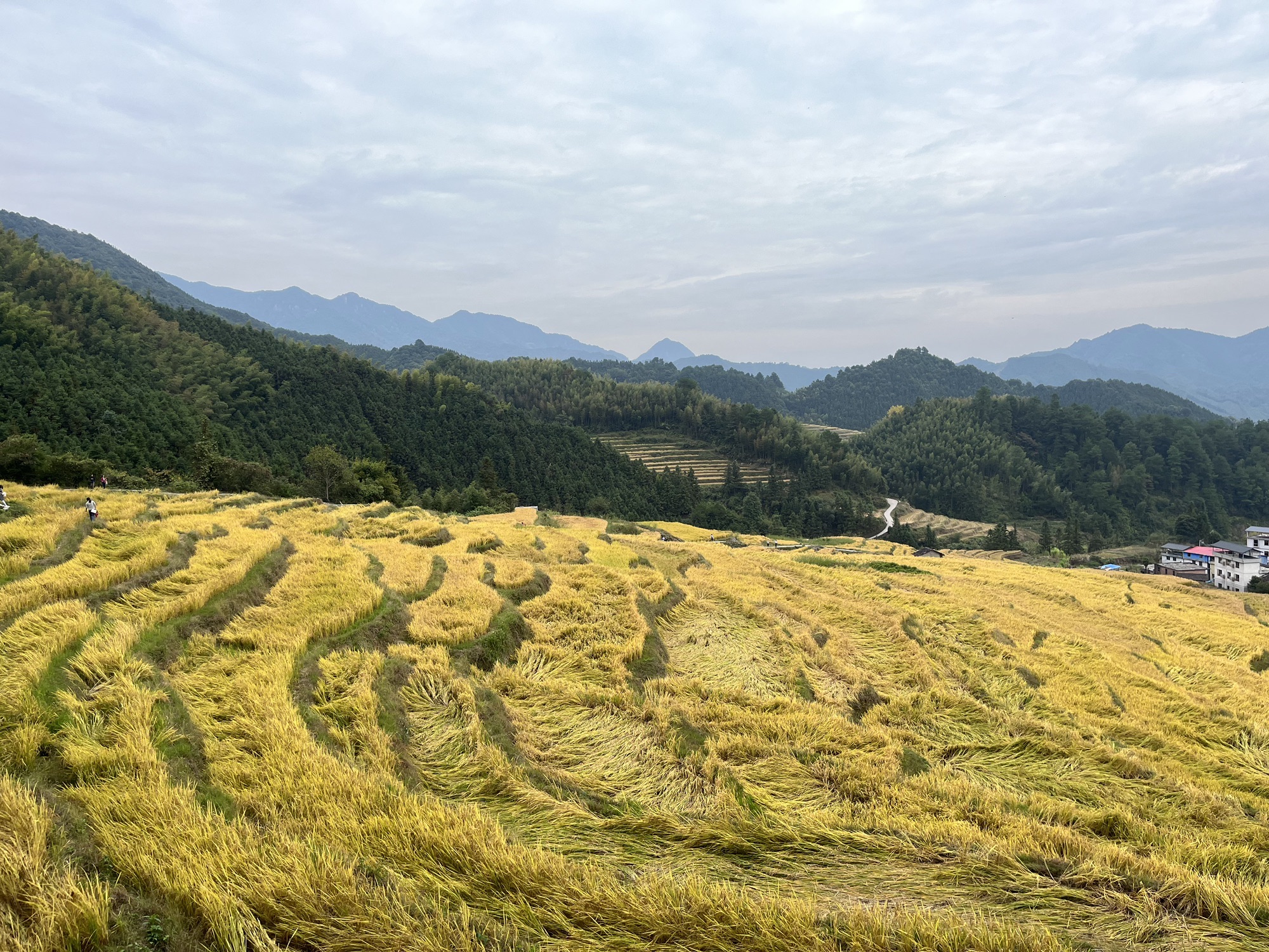 连山欧家梯田旅行图片