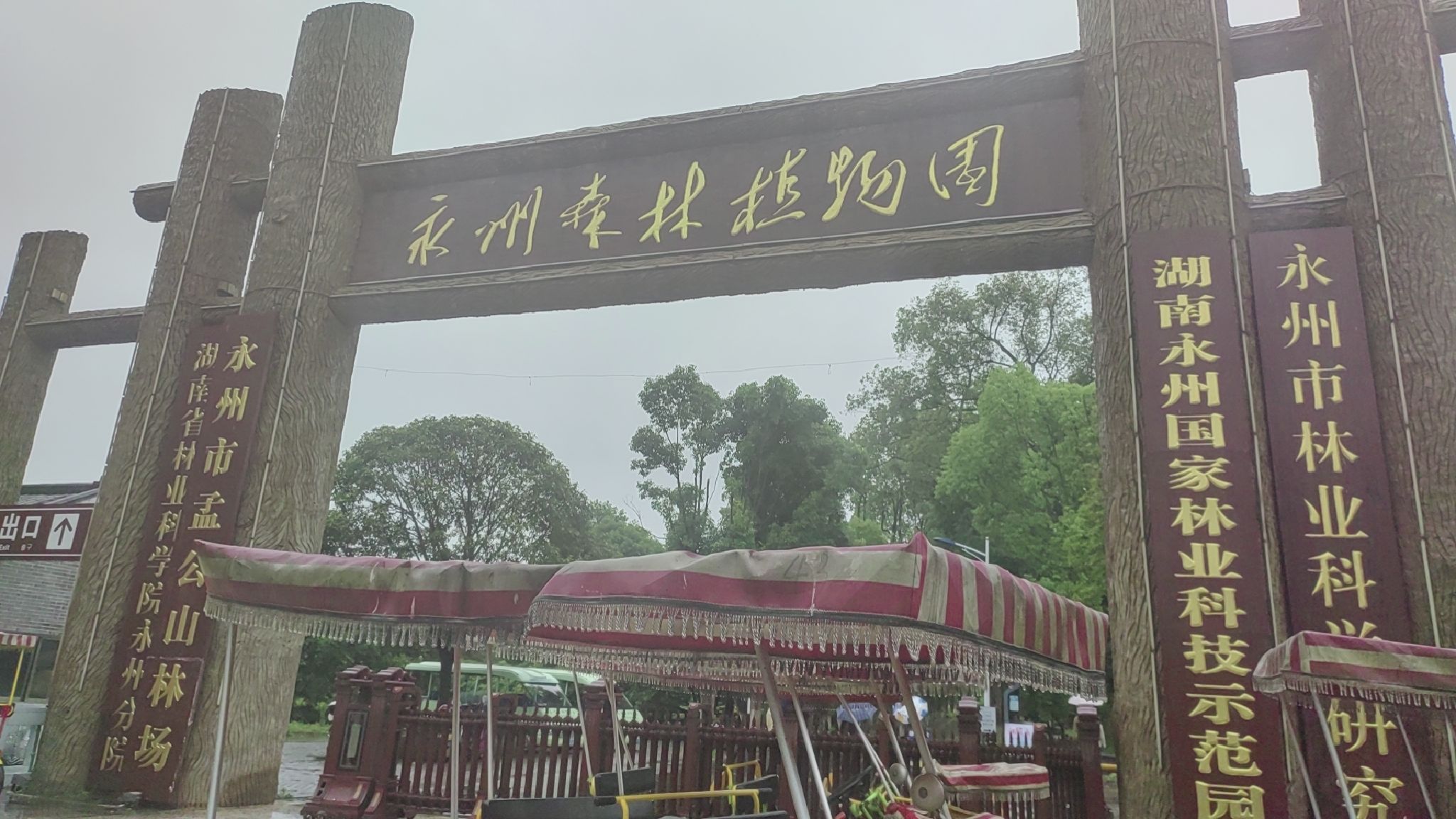 永州森林植物园旅行图片