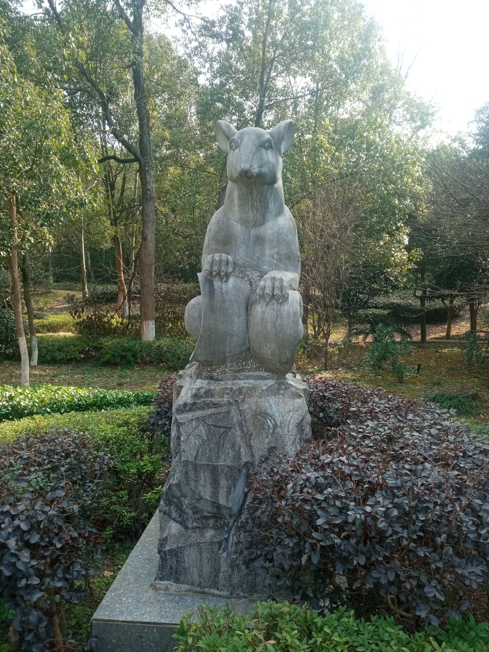 永州森林植物园旅行图片