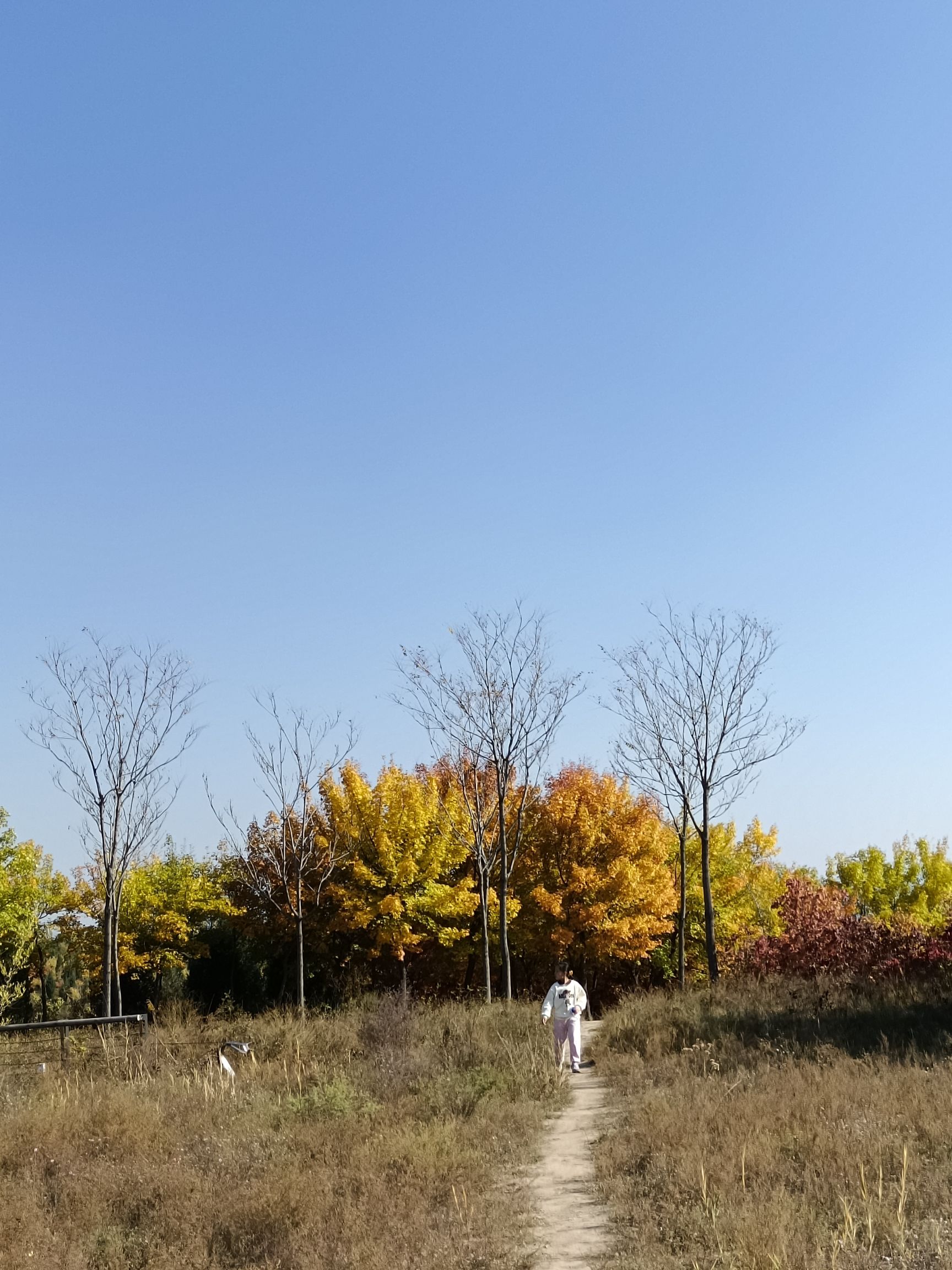 百草坡森林植物园旅行图片
