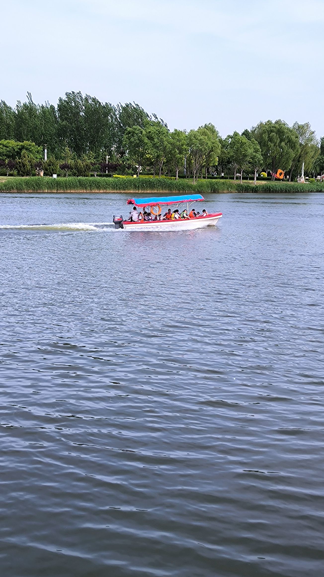 枣强董子公园旅行图片