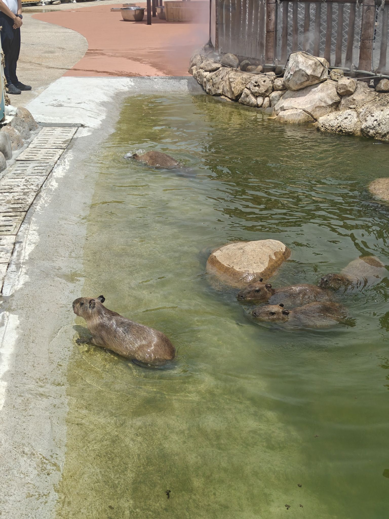 上海市城市风景