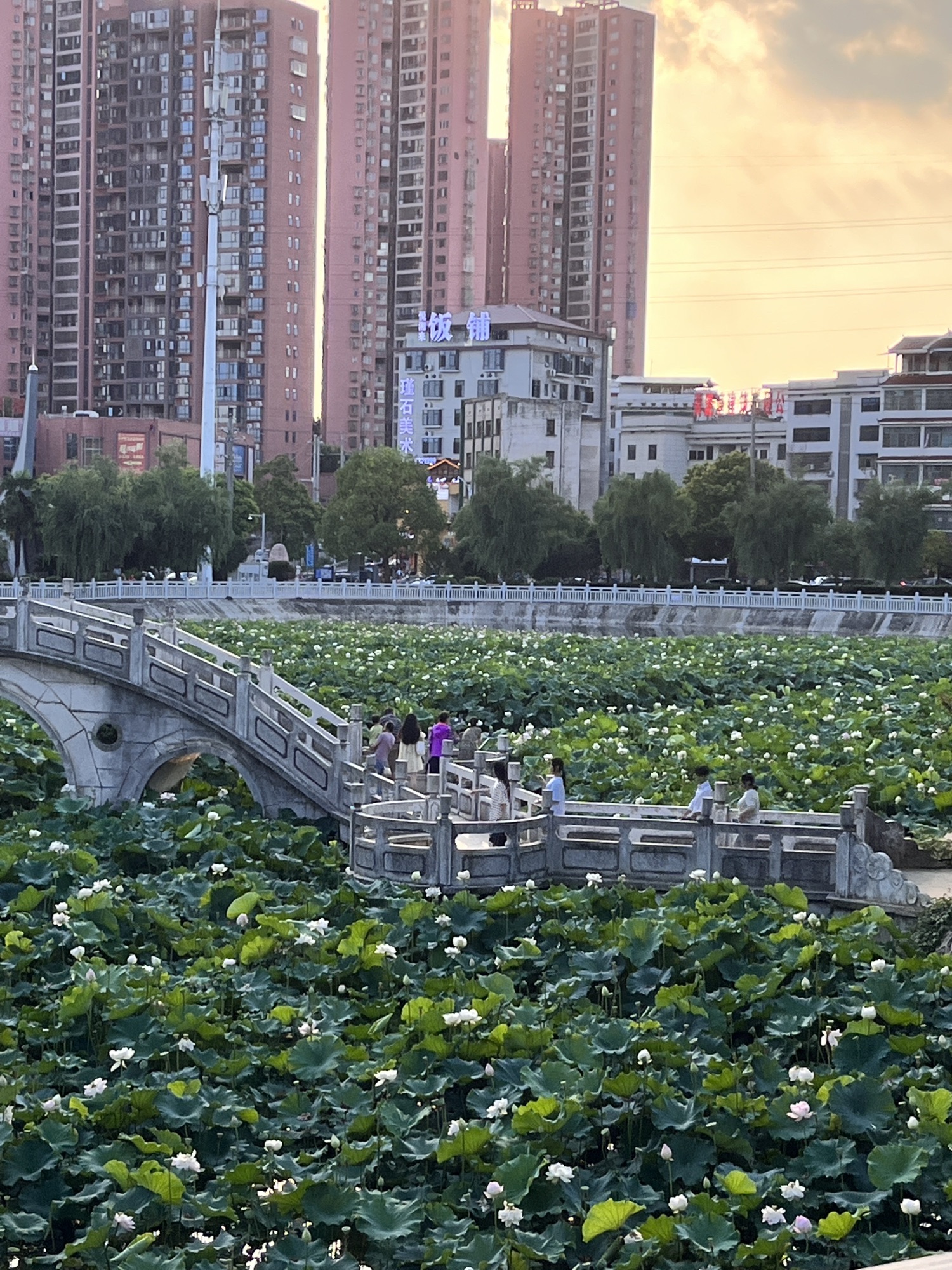 青山公园