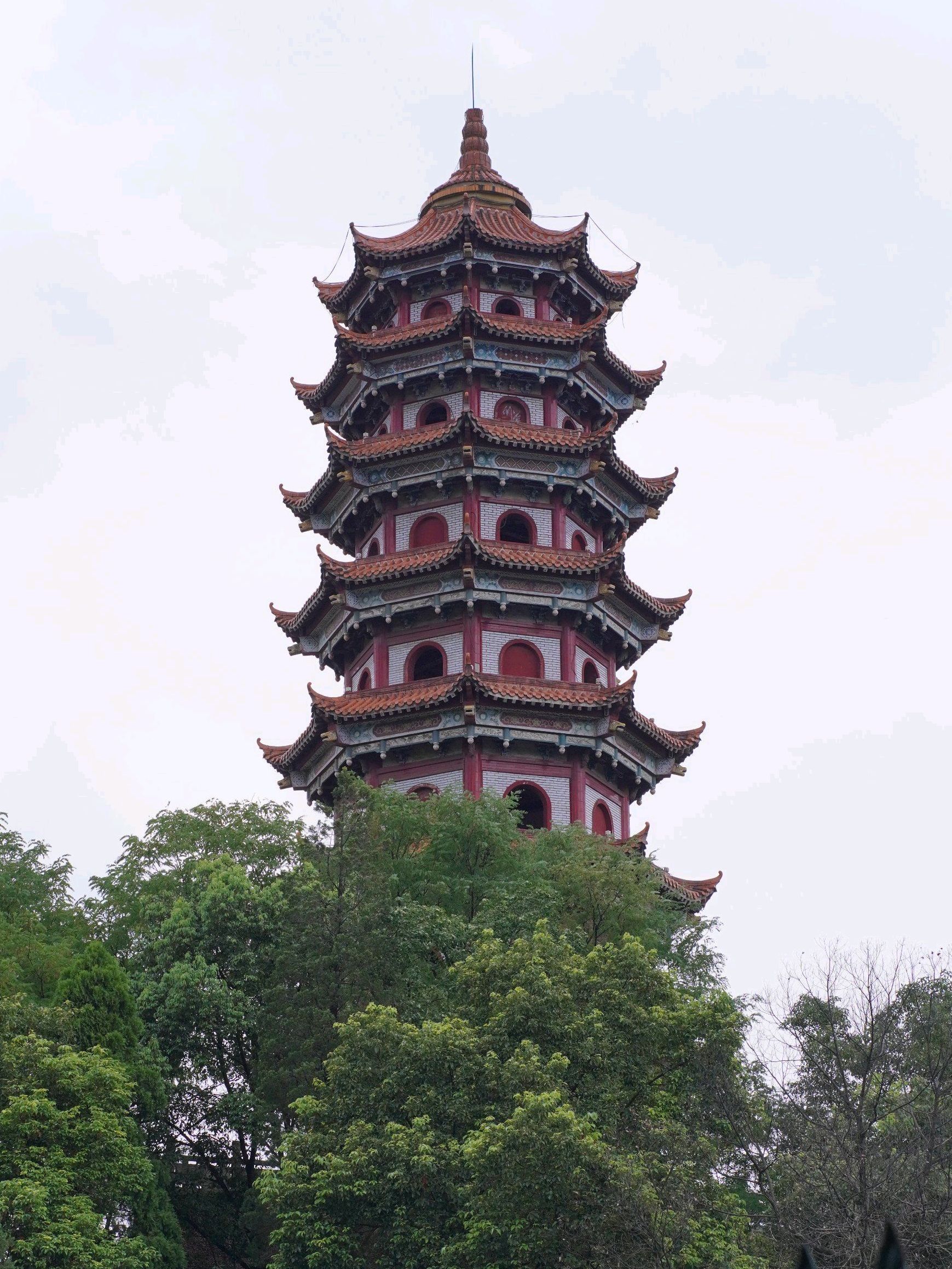 青山公园旅行图片