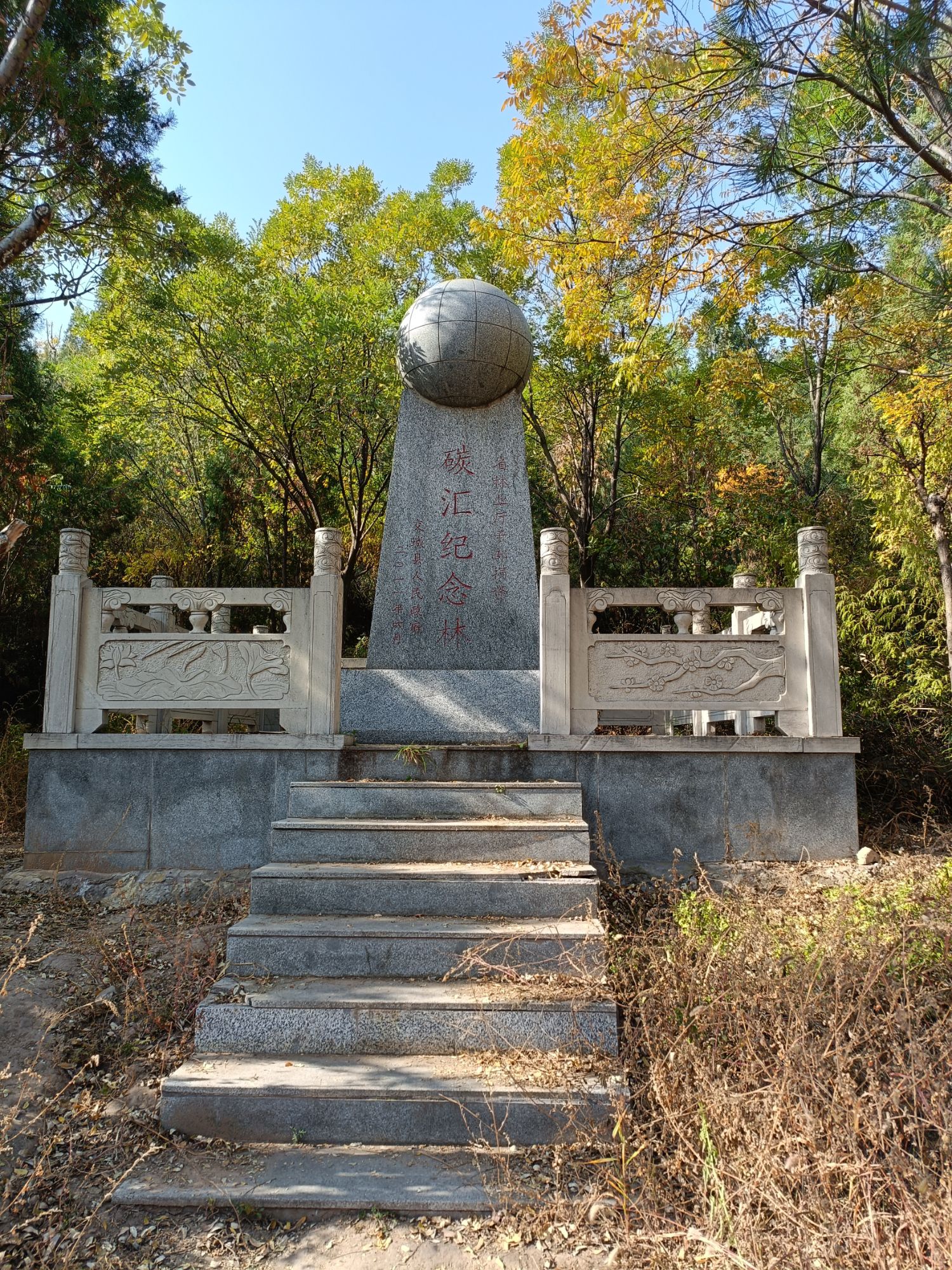 碳汇纪念林