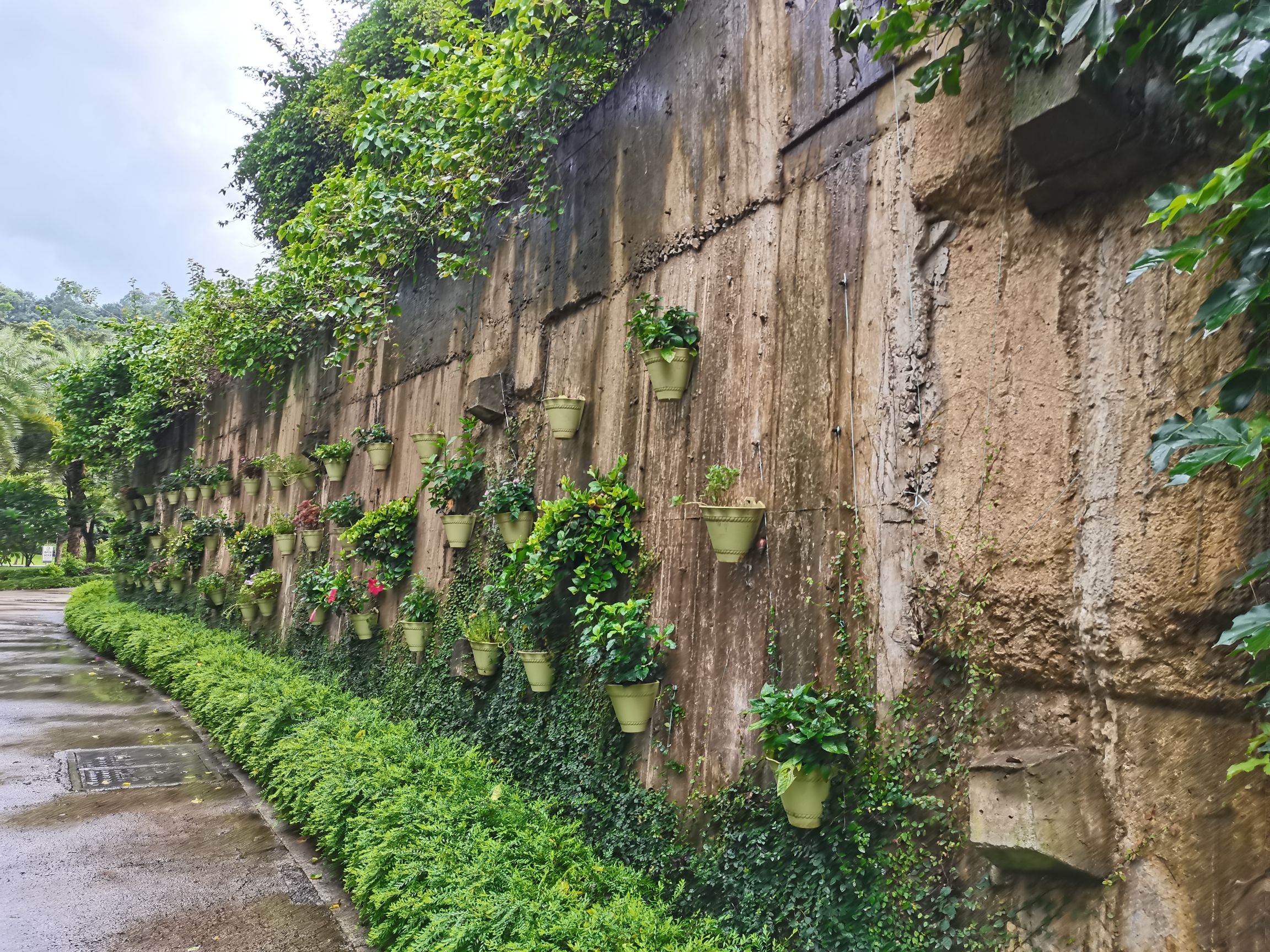 惠州植物园