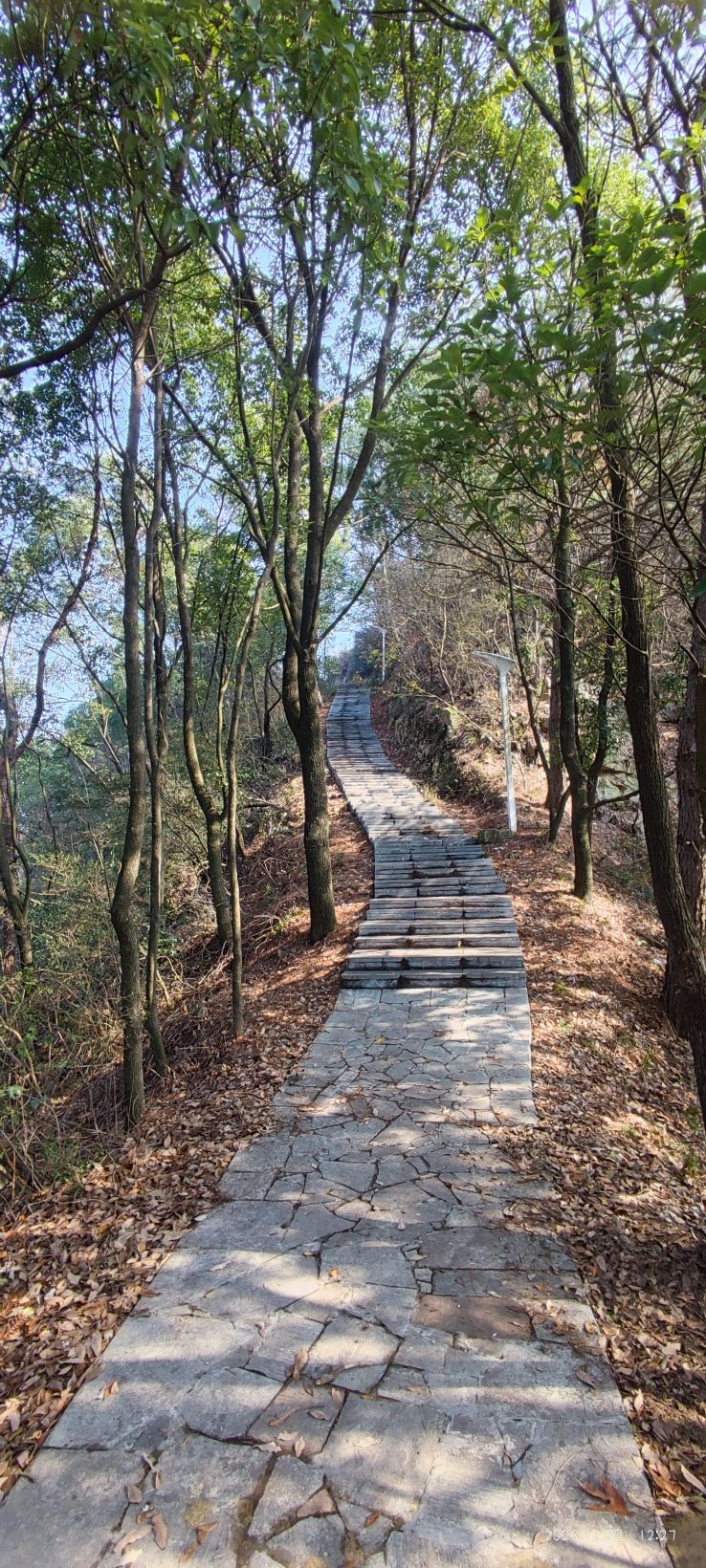 慈利龙峰公园