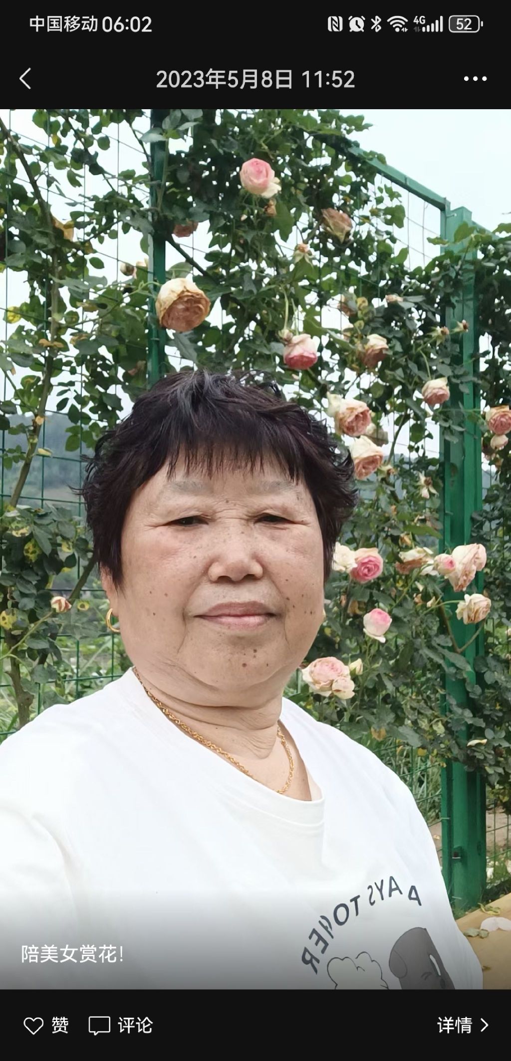 逍林公园旅行图片