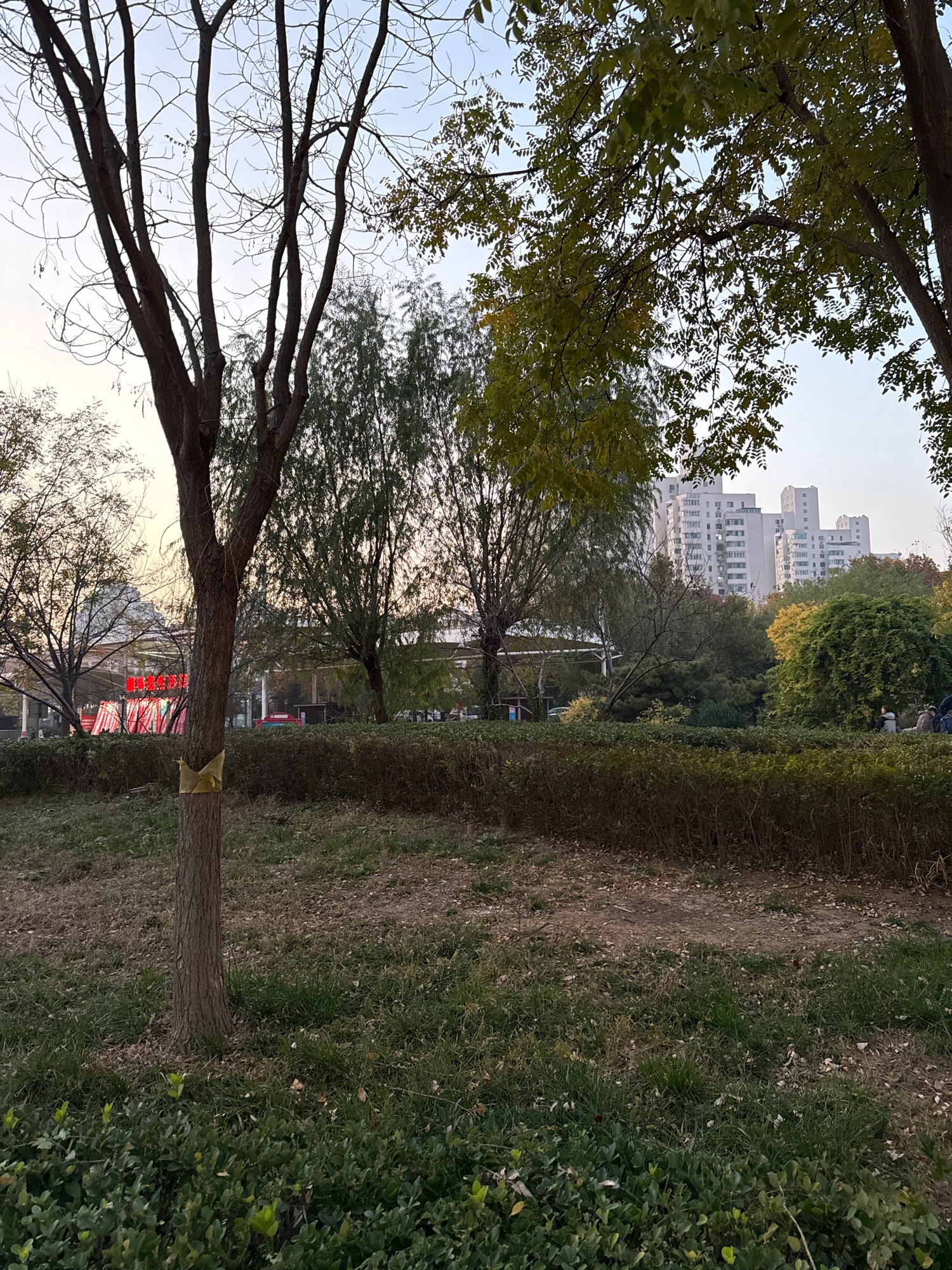 华苑人防公园