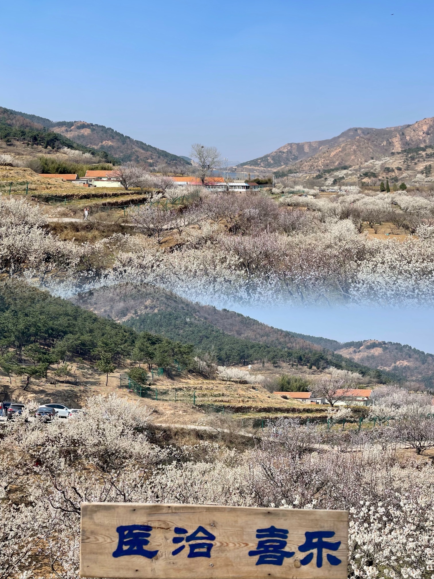 棉花风景区