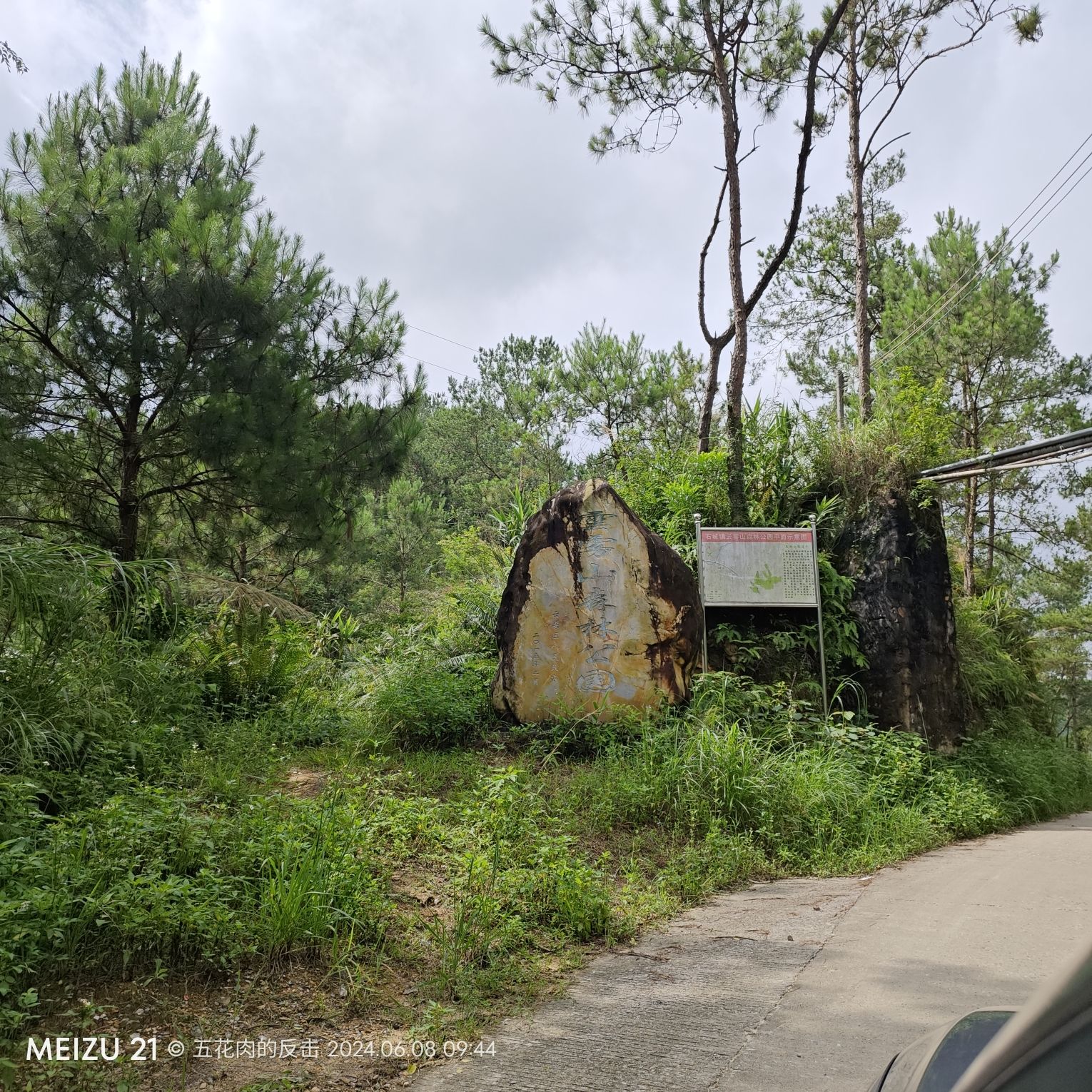 云雾山森林公园旅行图片