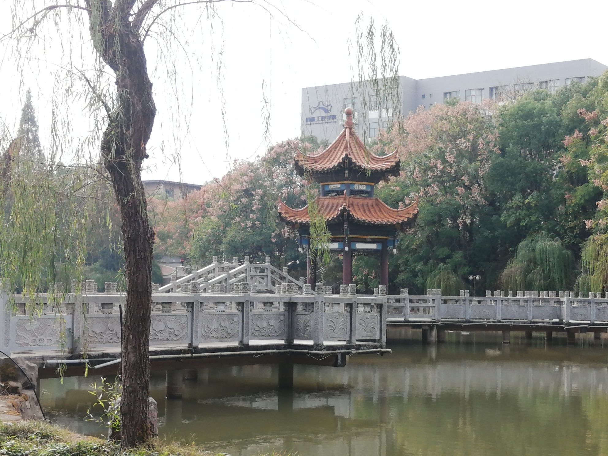 画眉潭旅行图片