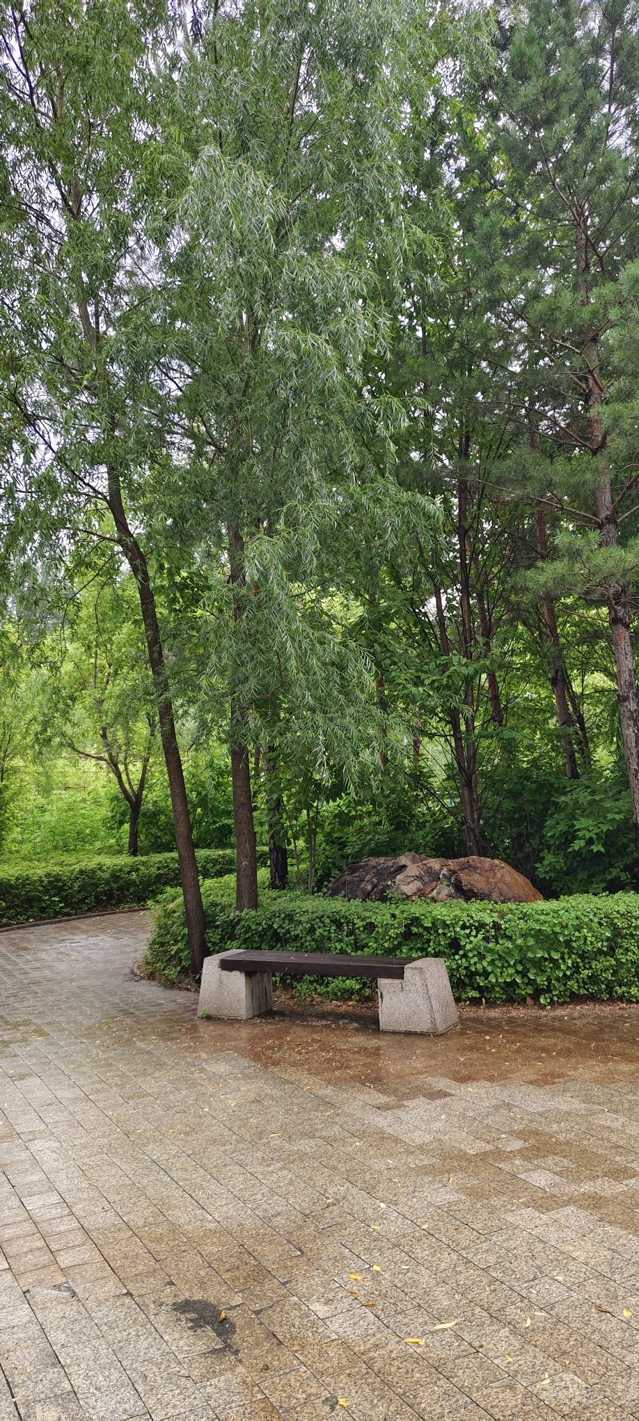 苏力德公园旅行图片