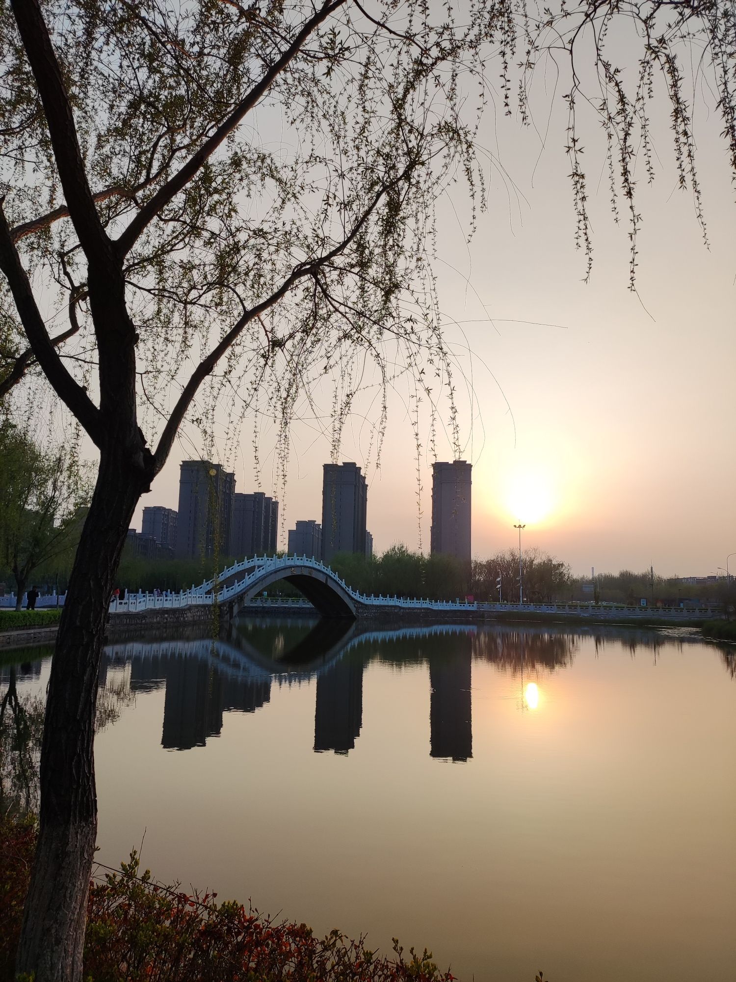 文星湖公园旅行图片