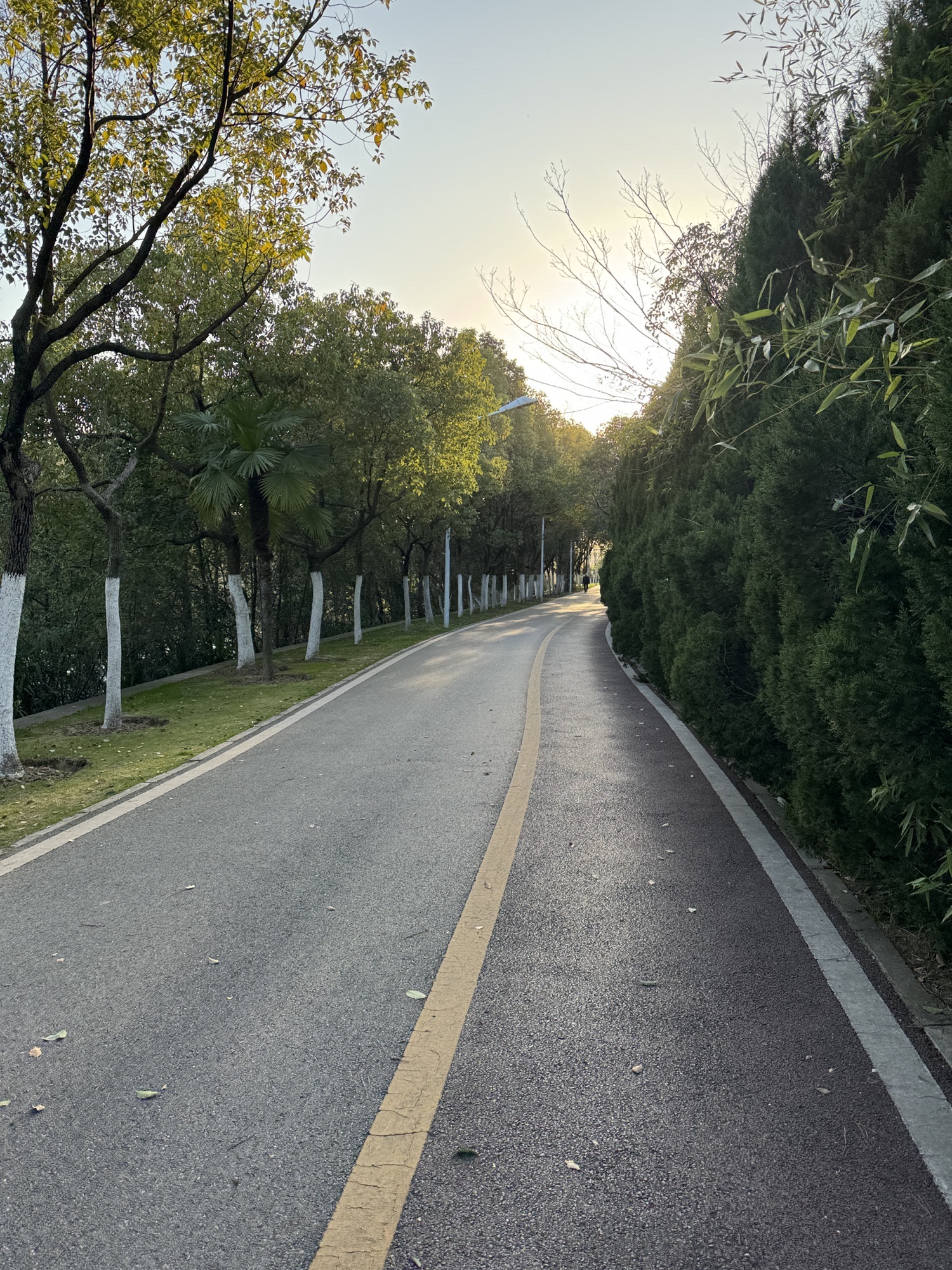 庐州公园旅行图片