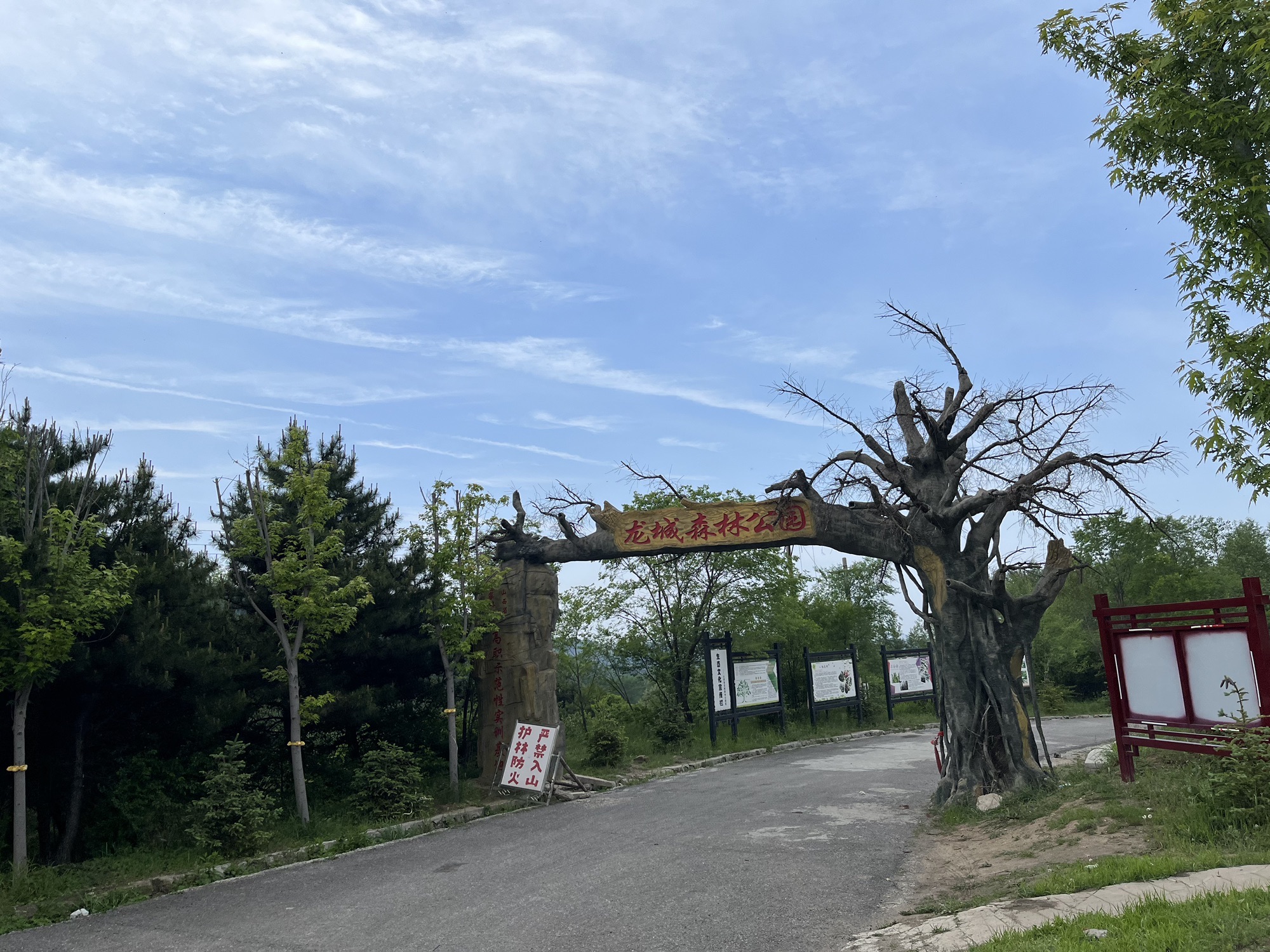 龙城森林公园旅行图片