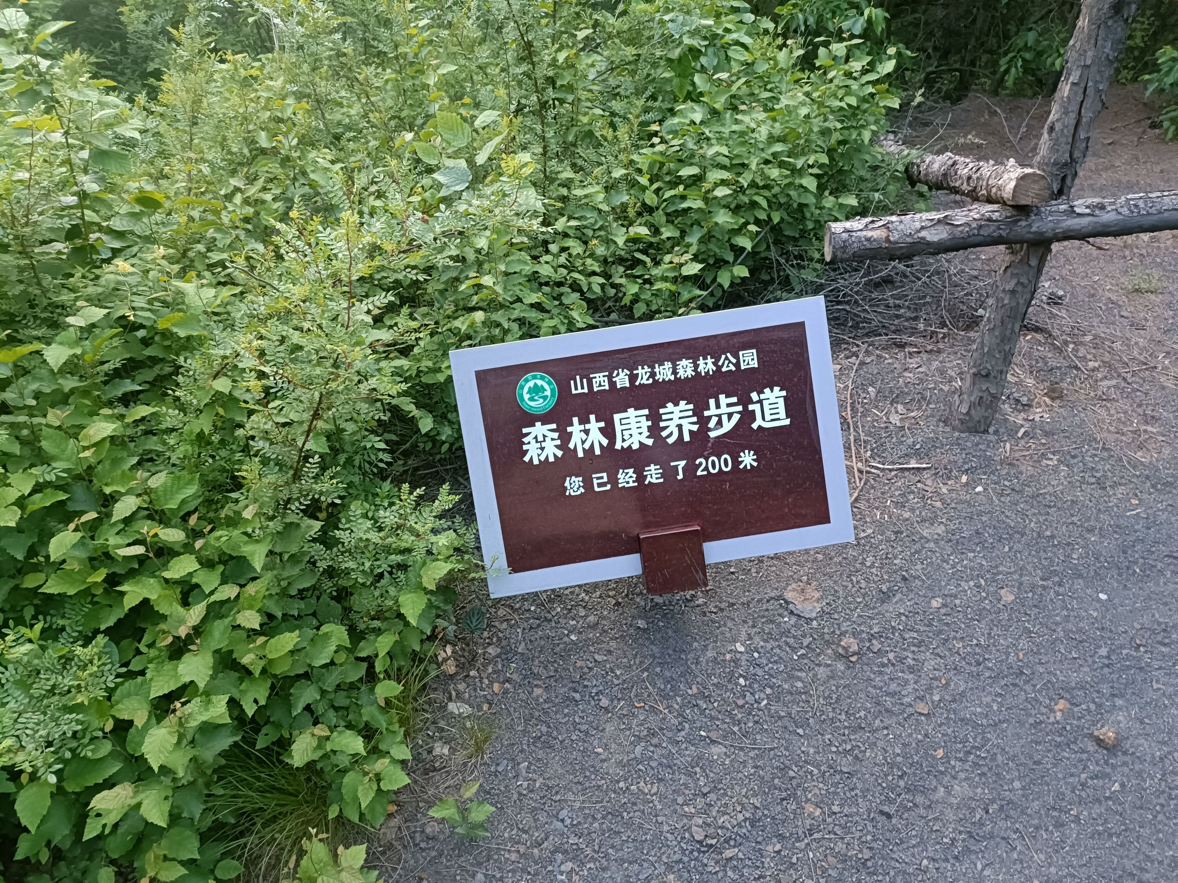 龙城森林公园旅行图片