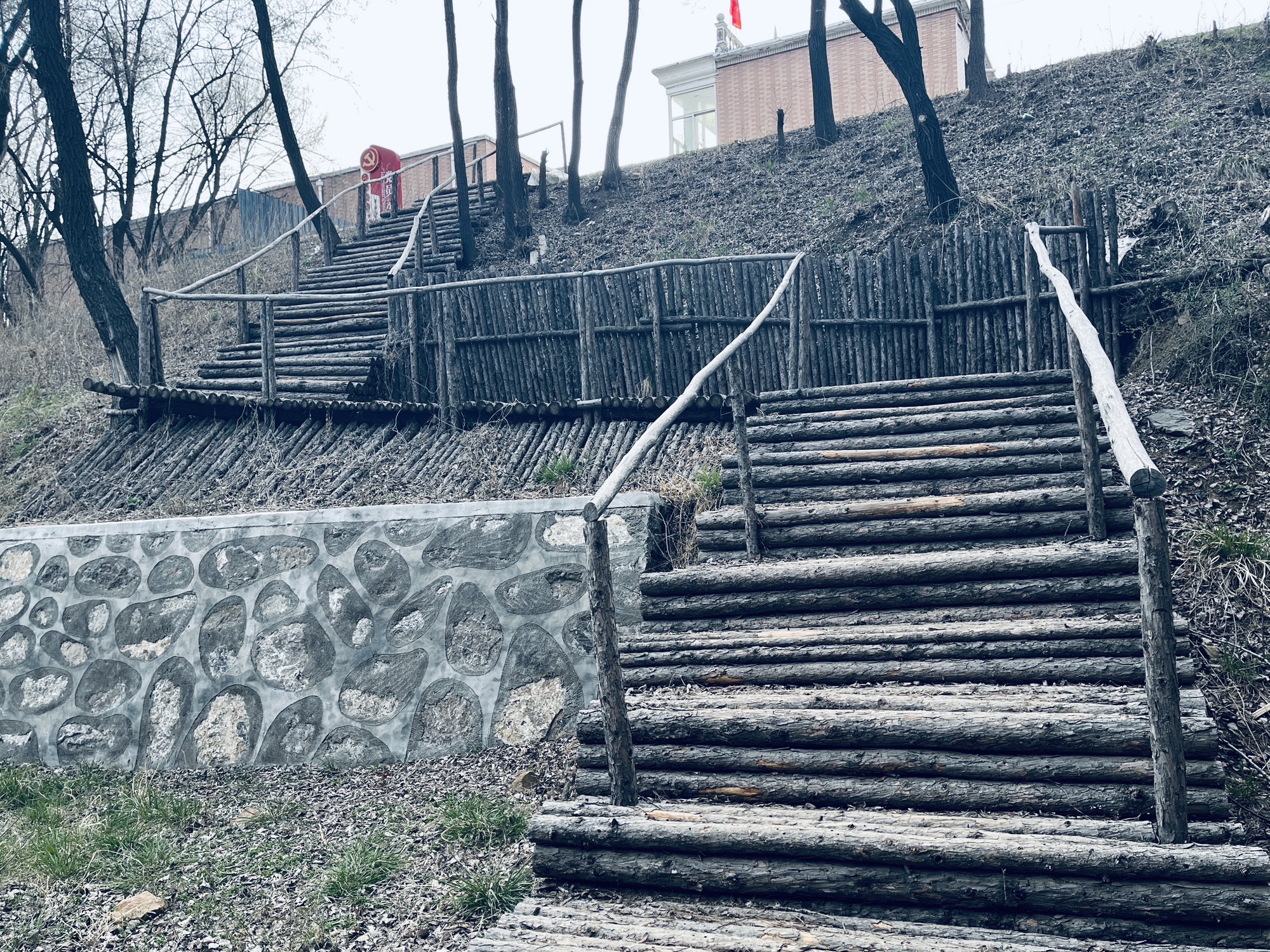 龙城森林公园旅行图片
