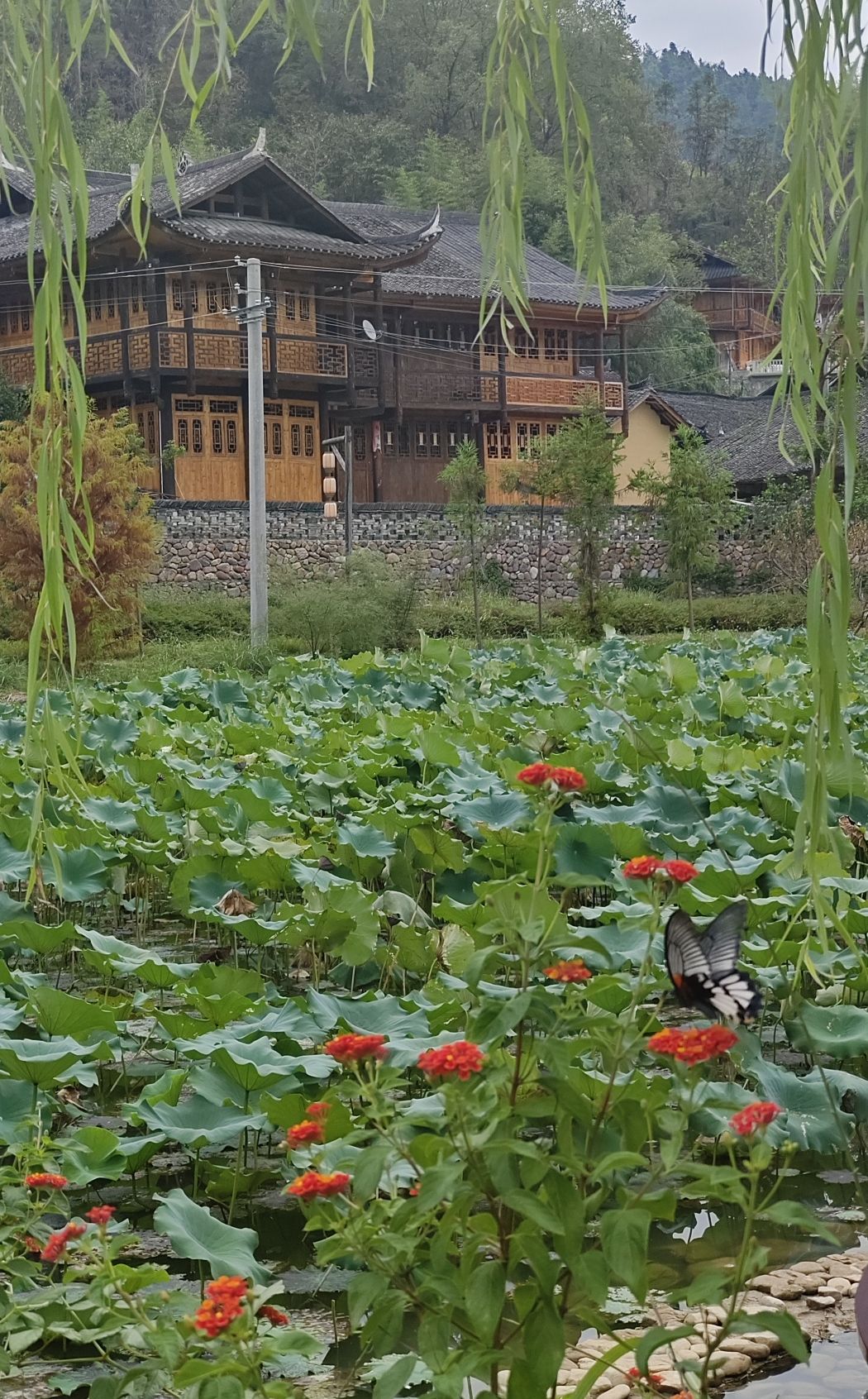惹巴拉旅游景区旅行图片