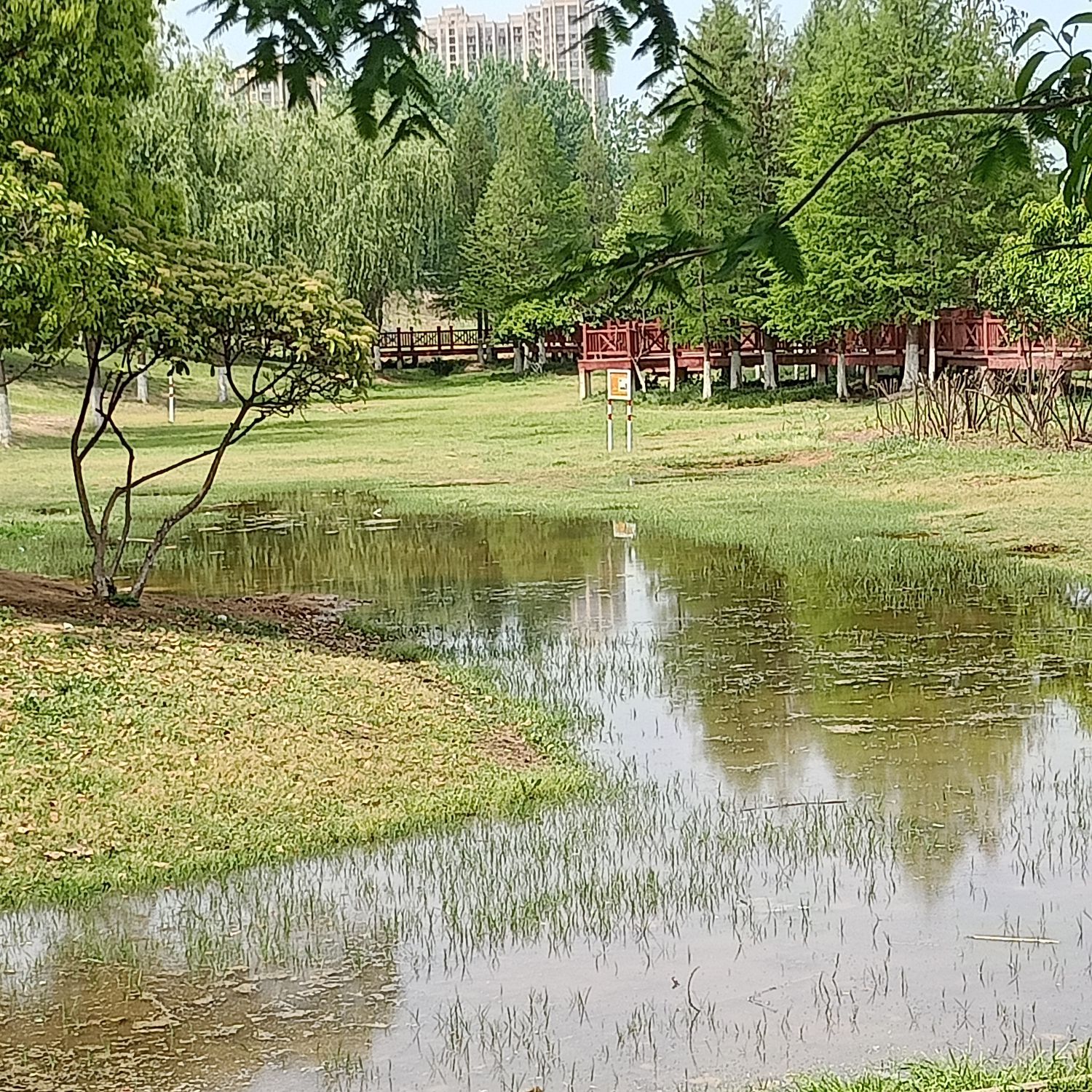 滨河公园
