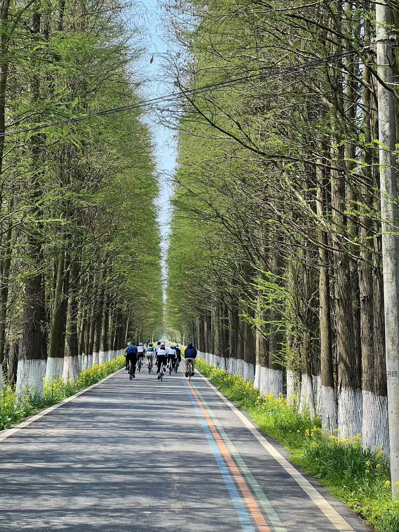 南昌五星知青公园旅行图片