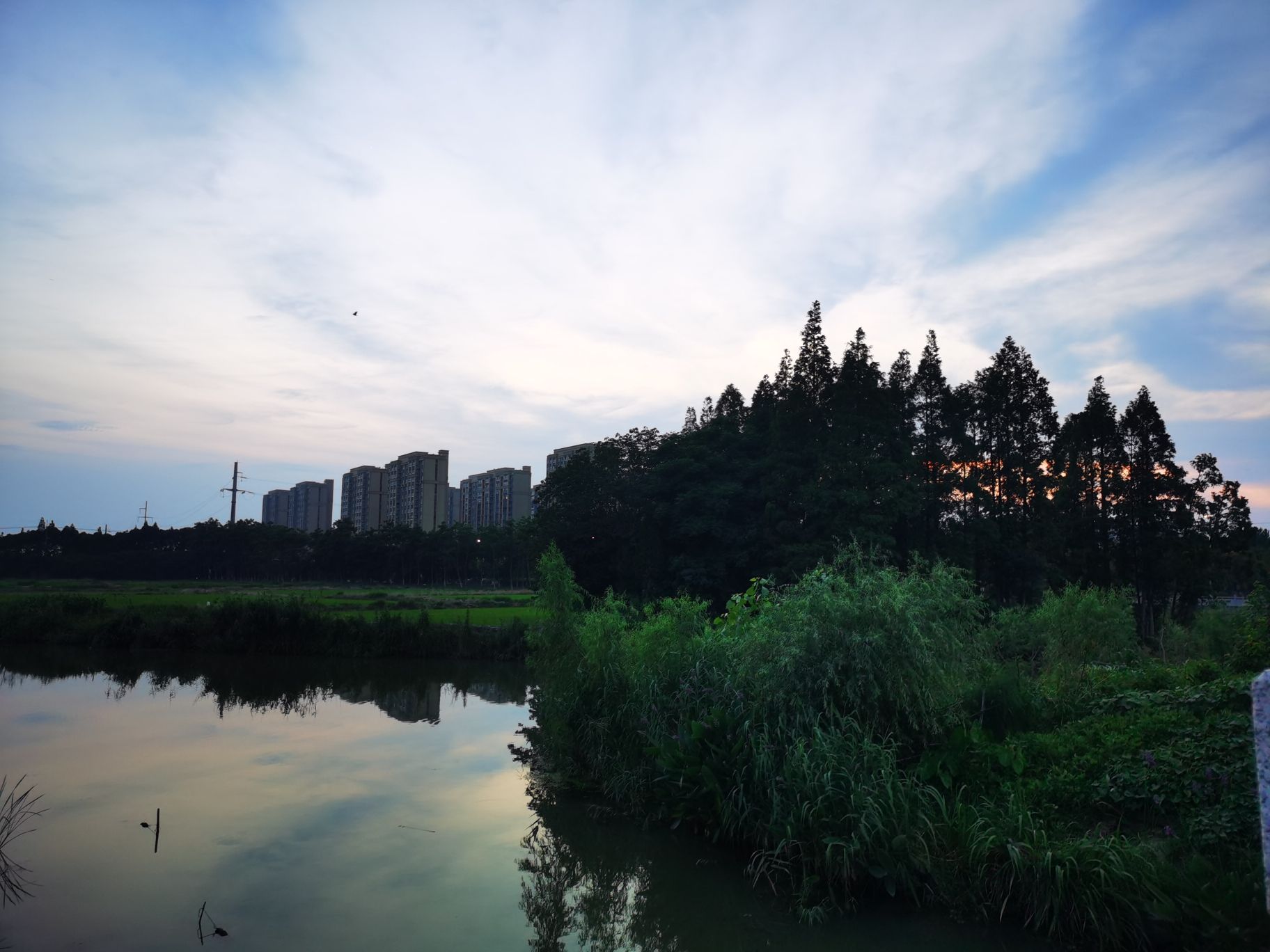 印溪生态湿地公园旅行图片