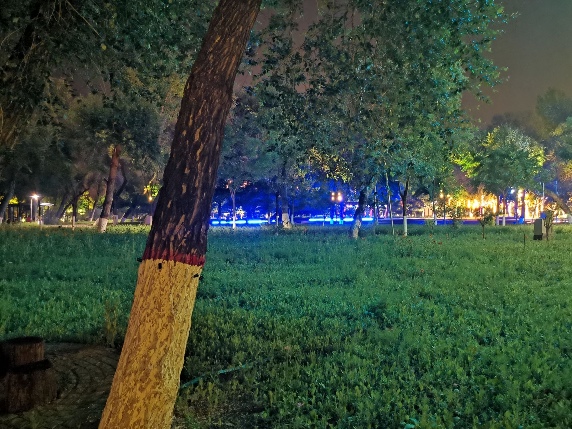 东湖湾水岸公园