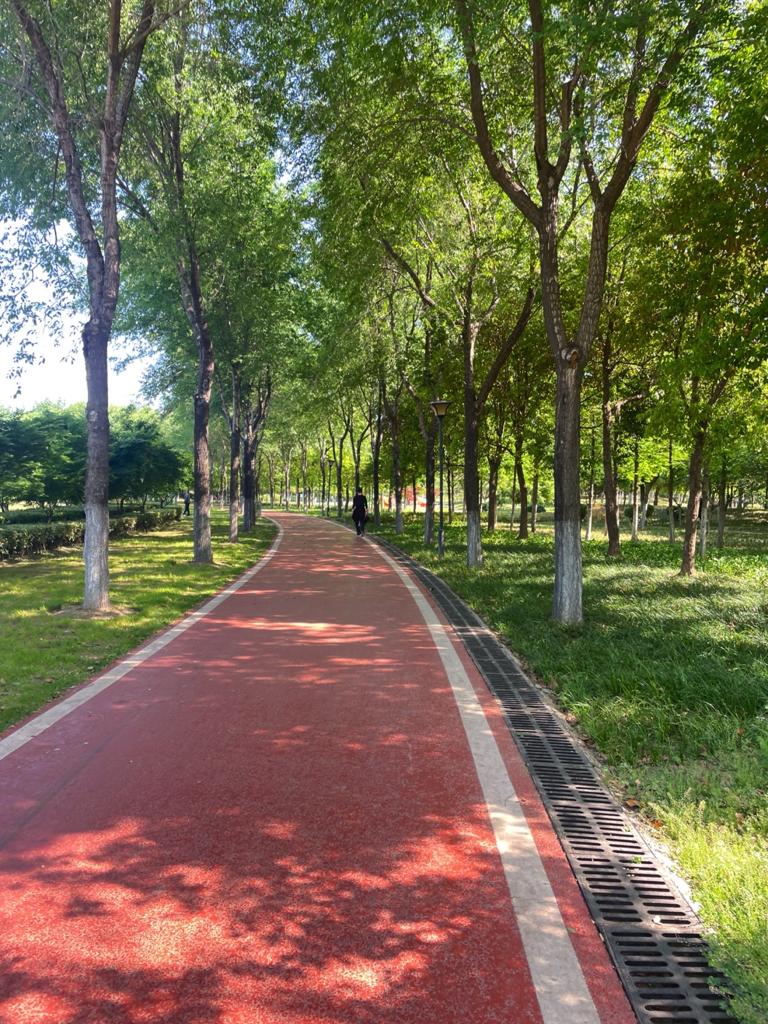 聚宝公园旅行图片