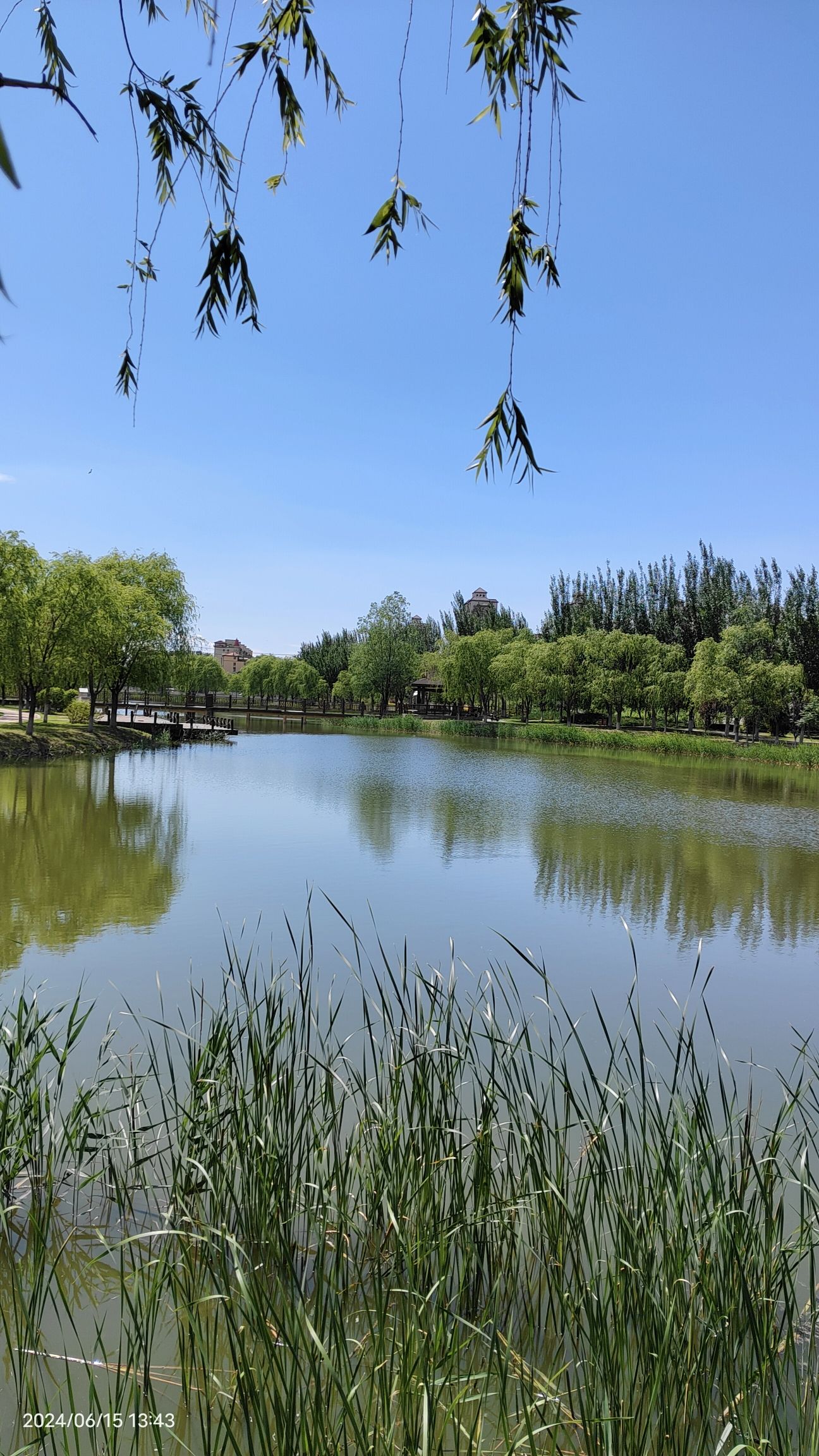 生态滨湖公园旅行图片