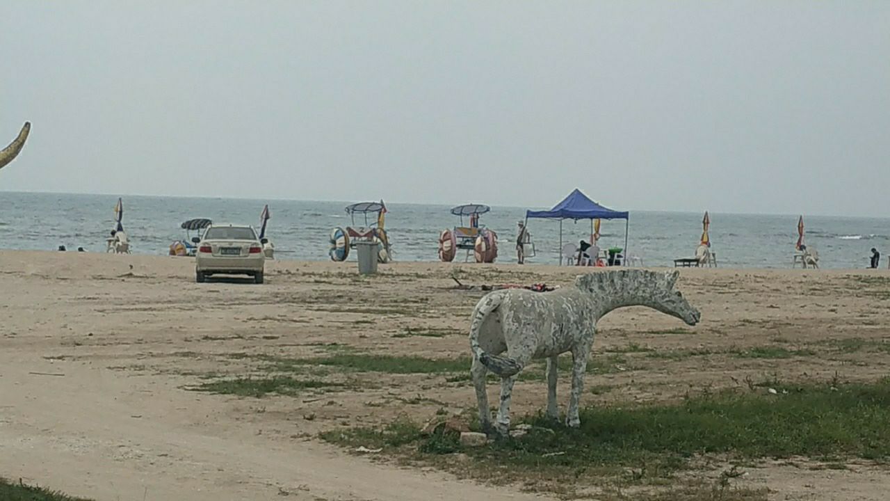 美人鱼