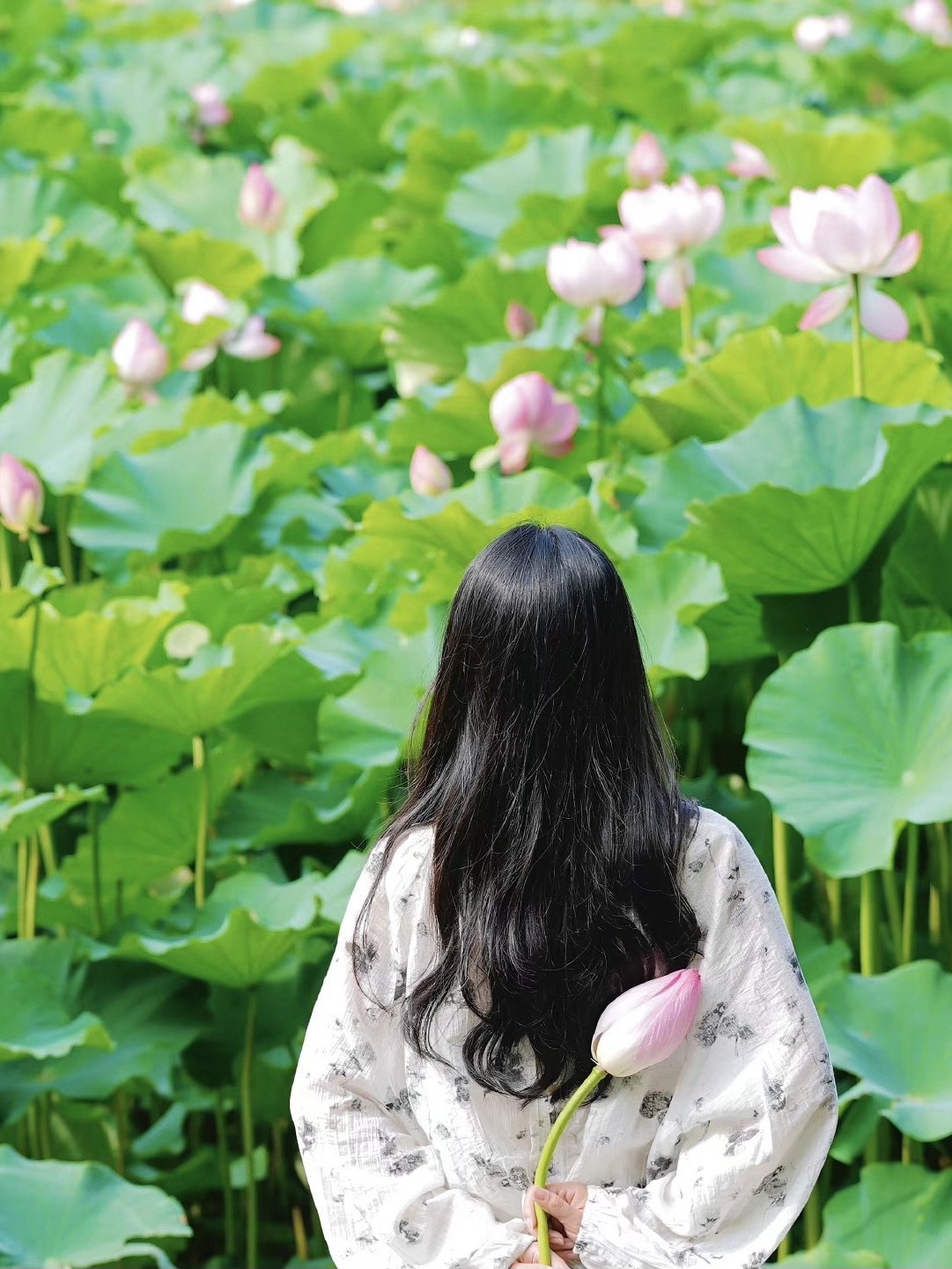 李村河生态全景示范园