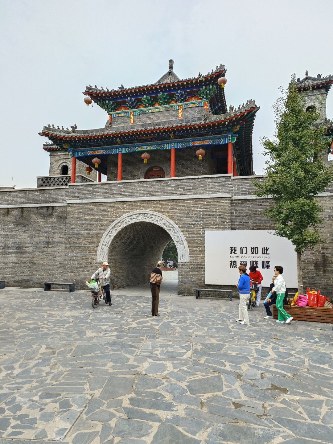 彭城老槐树