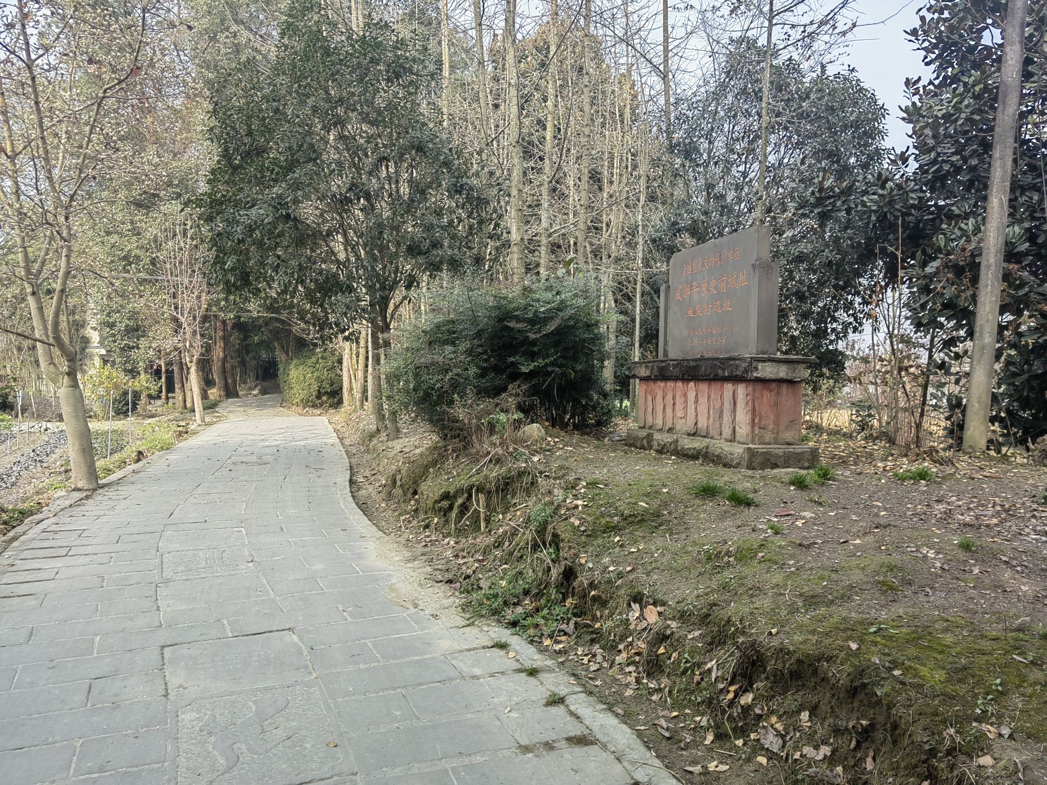 鱼凫村遗址旅行图片