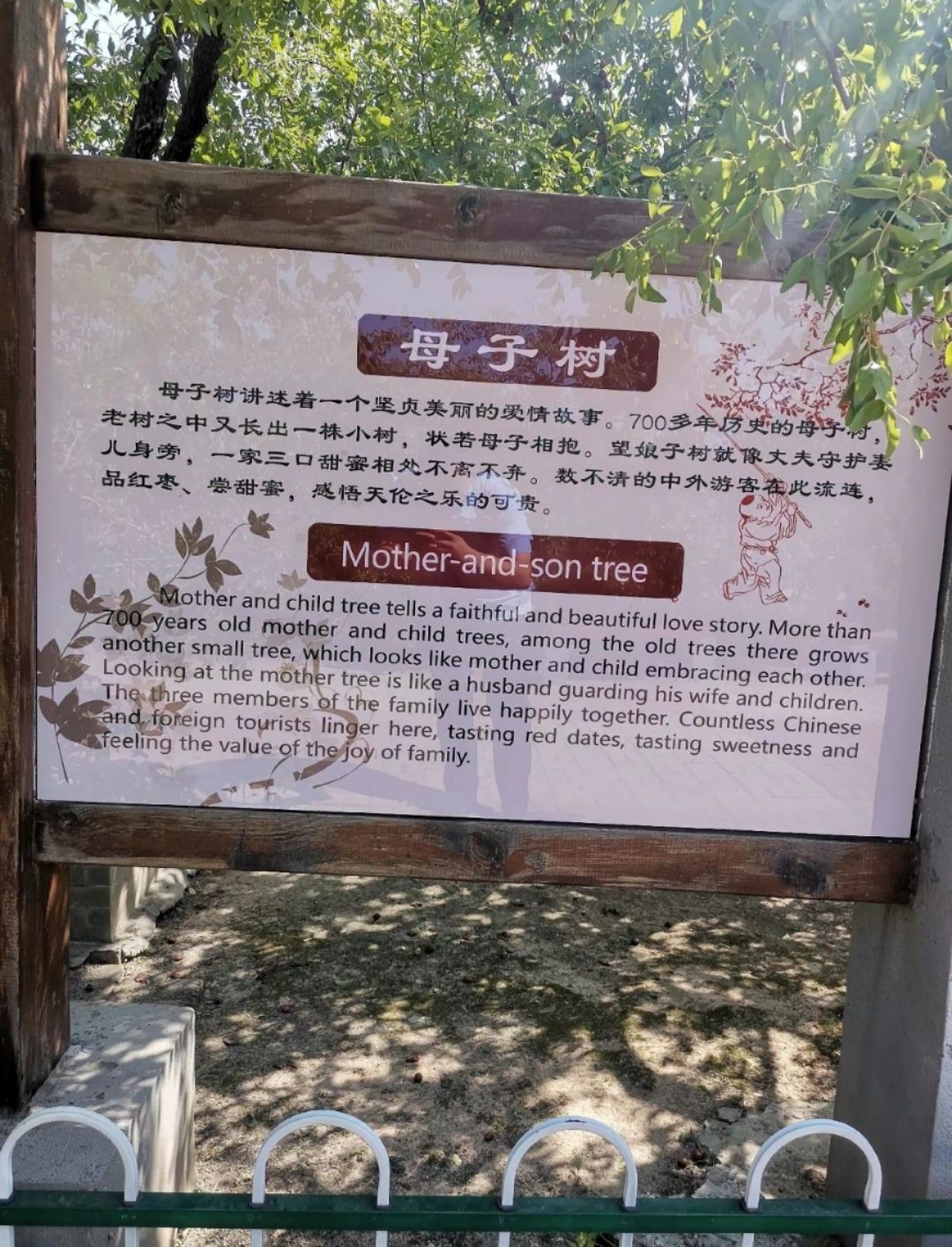 千年枣林游览区旅行图片