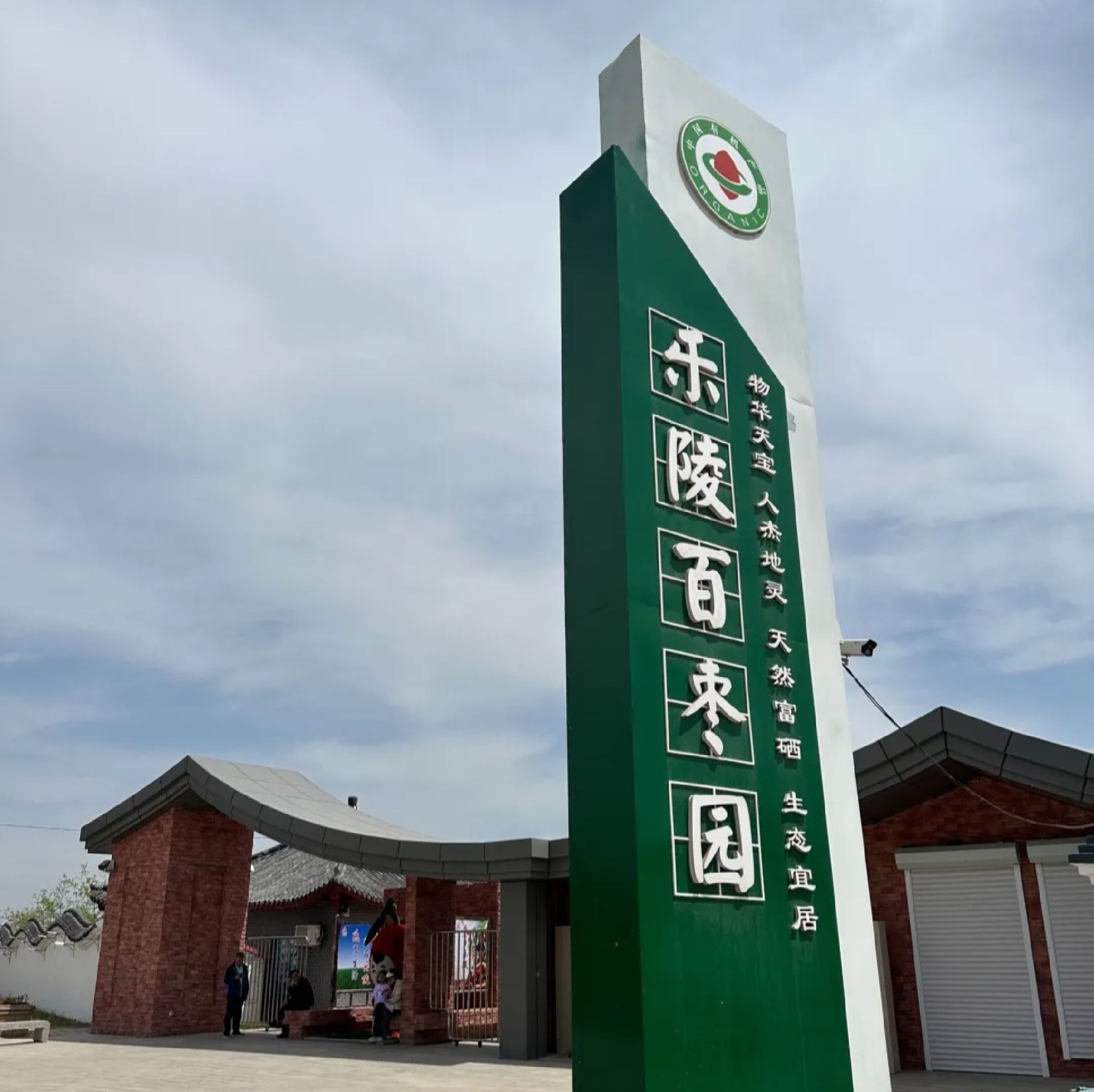 千年枣林游览区旅行图片