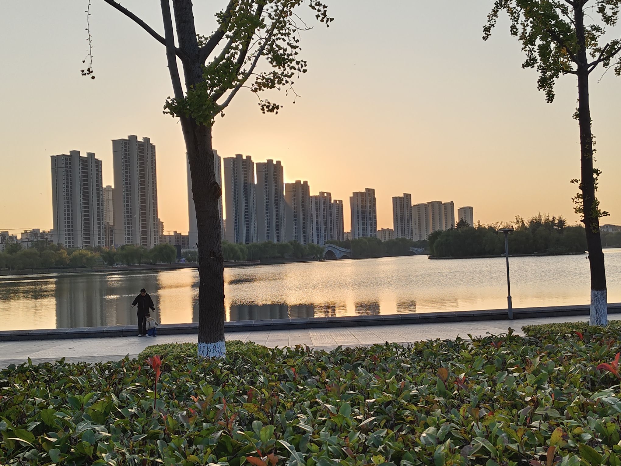 鲲鹏公园