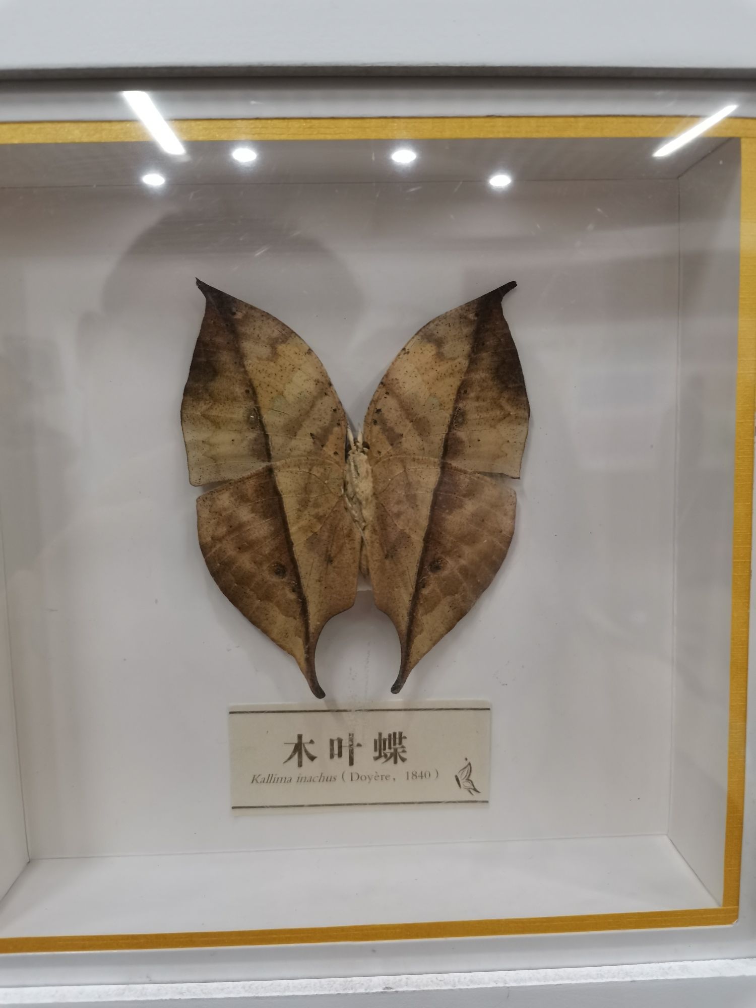 太原植物园珍稀植物引种驯化基地旅行图片