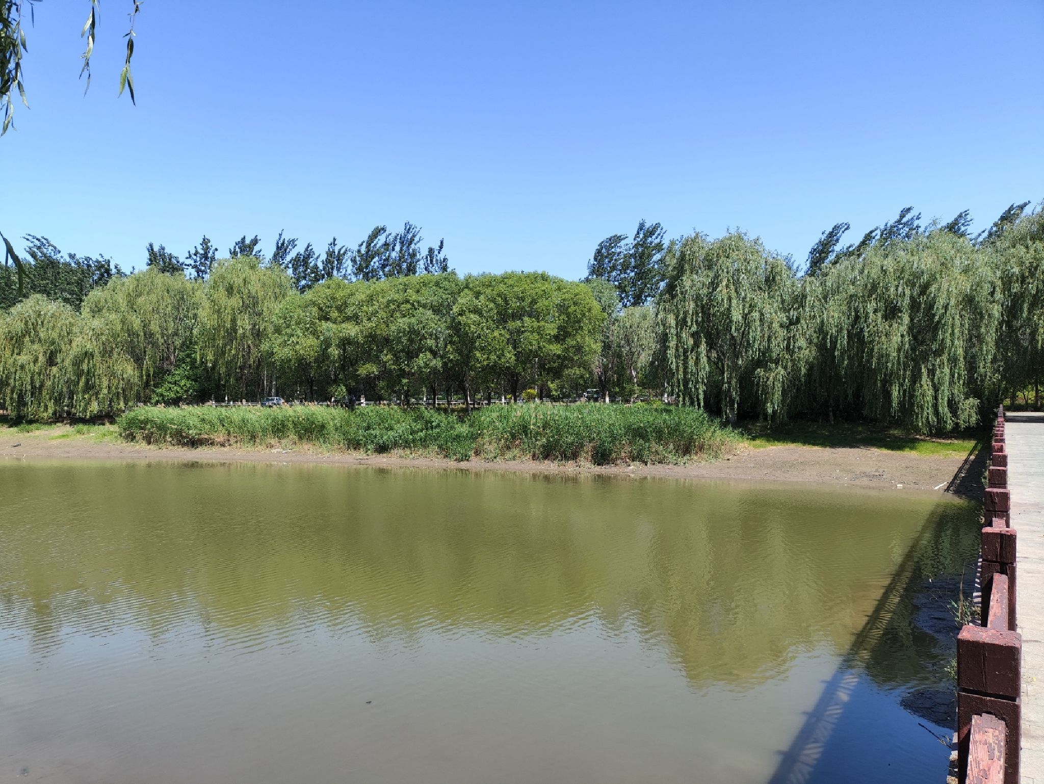 天津郊野公园旅行图片