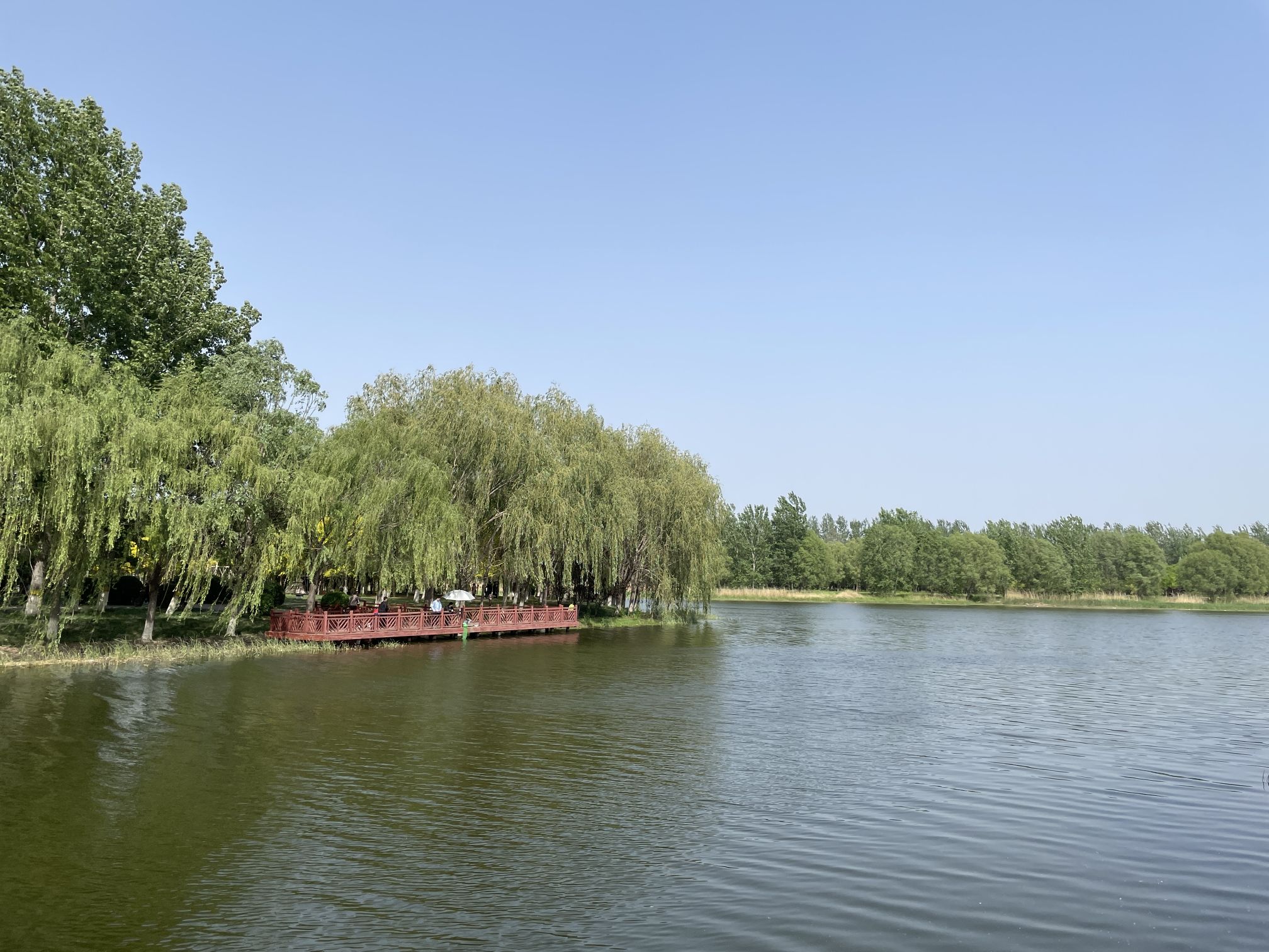 天津郊野公园旅行图片