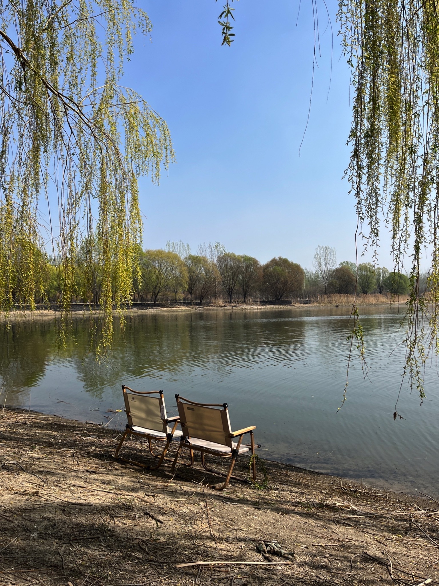 天津郊野公园旅行图片