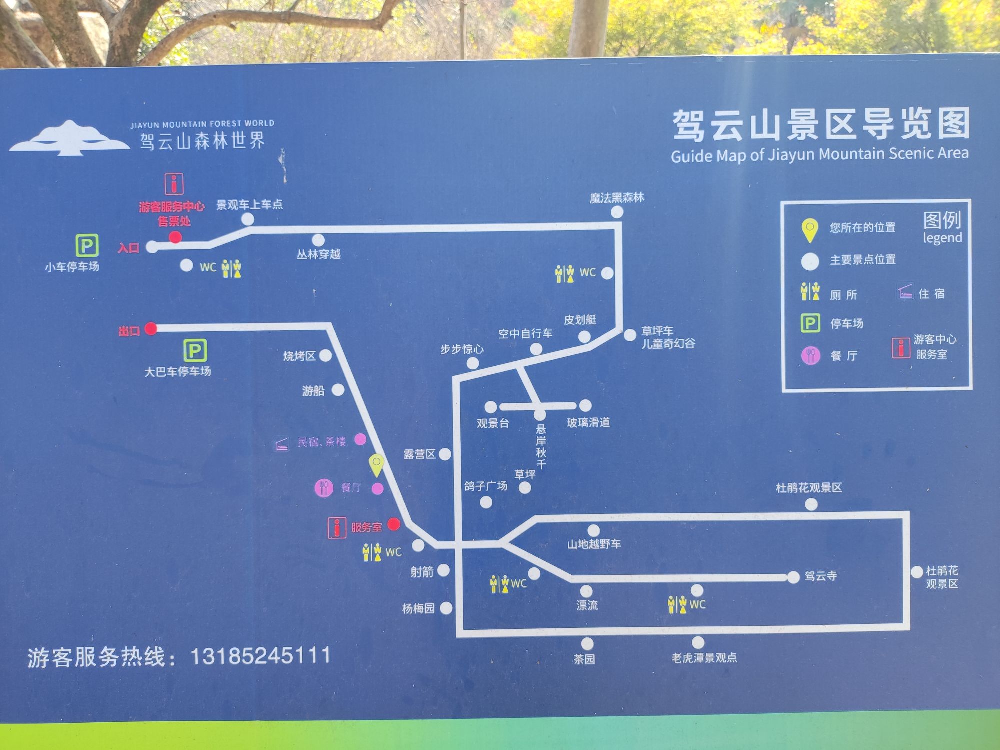 驾云山森林世界