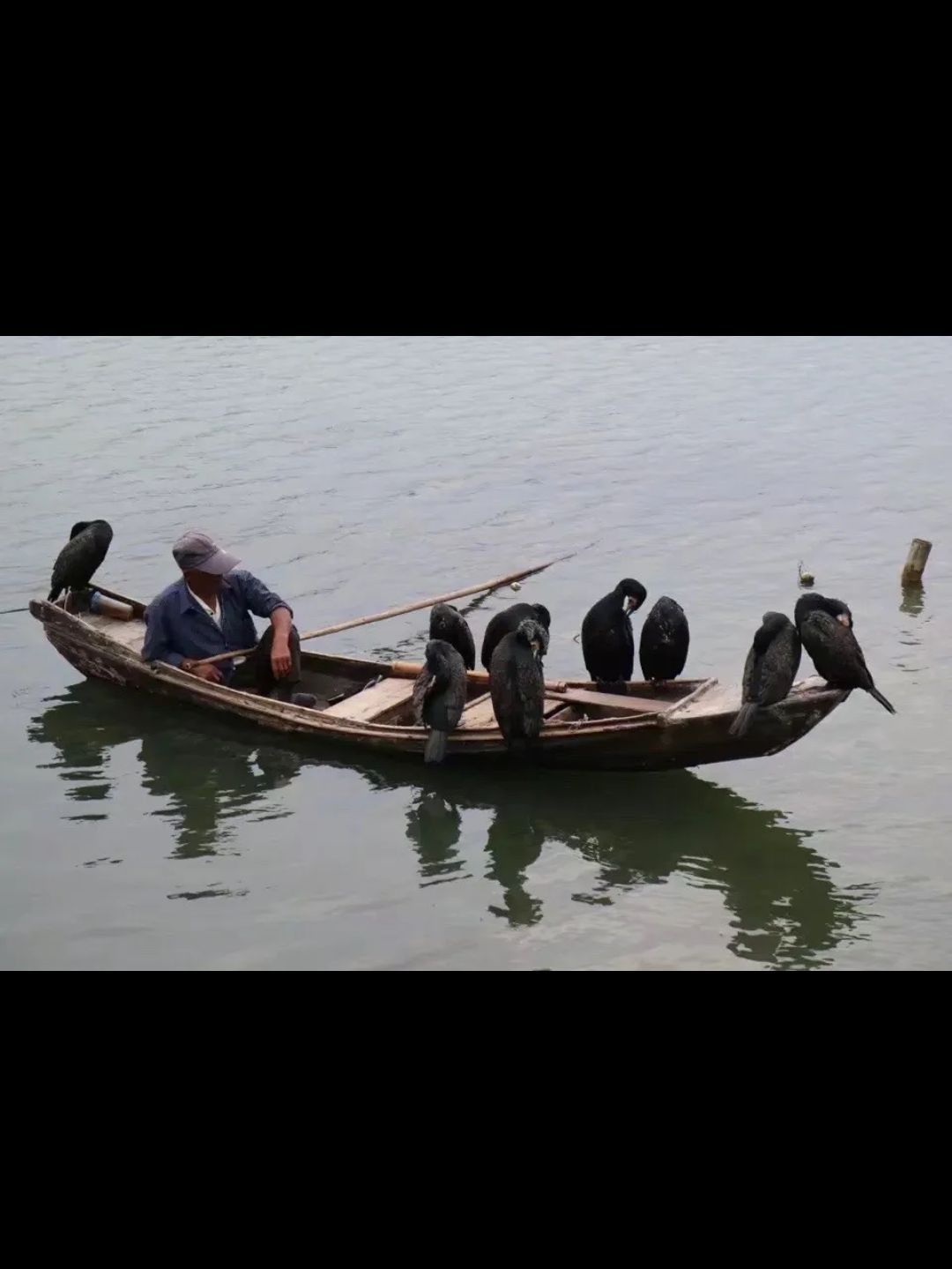 南湖湿地公园旅行图片