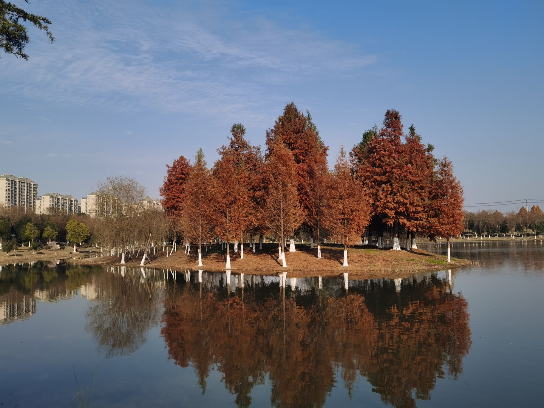 南湖湿地公园旅行图片