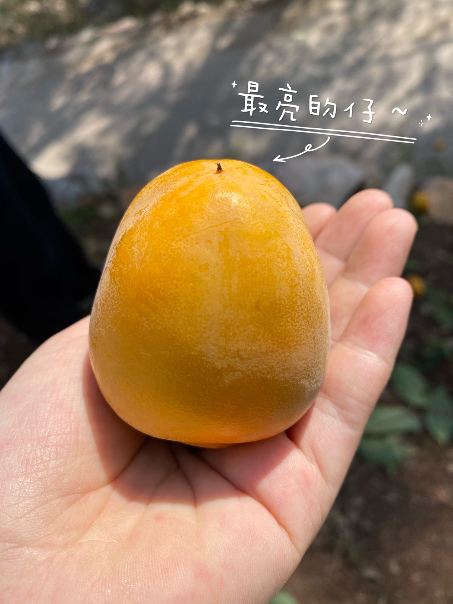 天乳山旅行图片