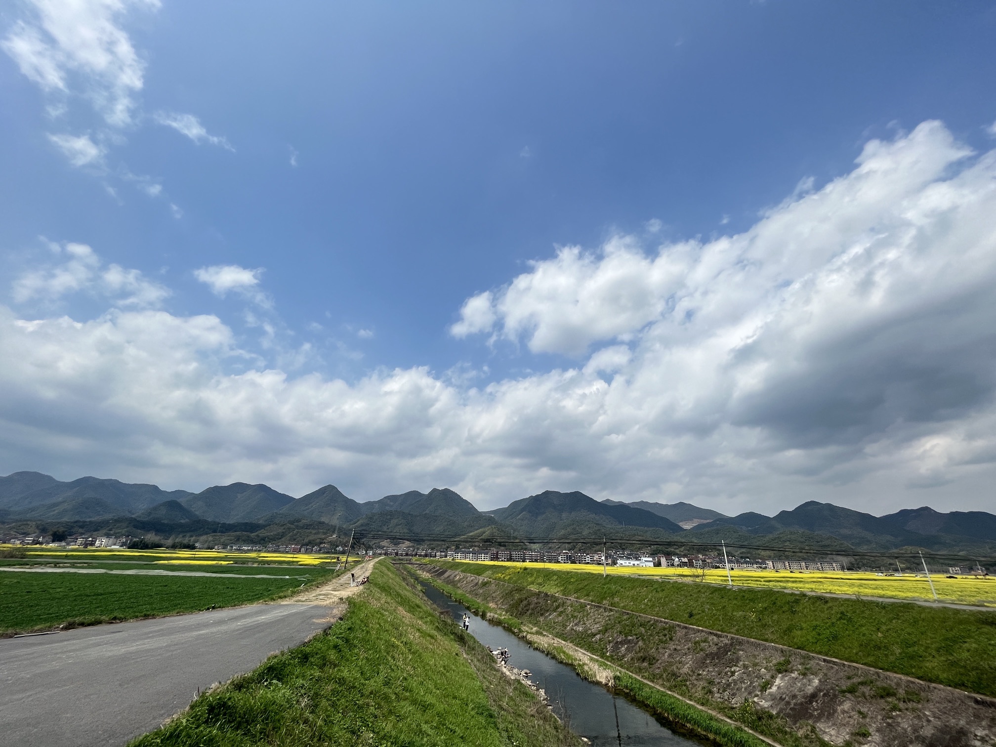 桐洲岛