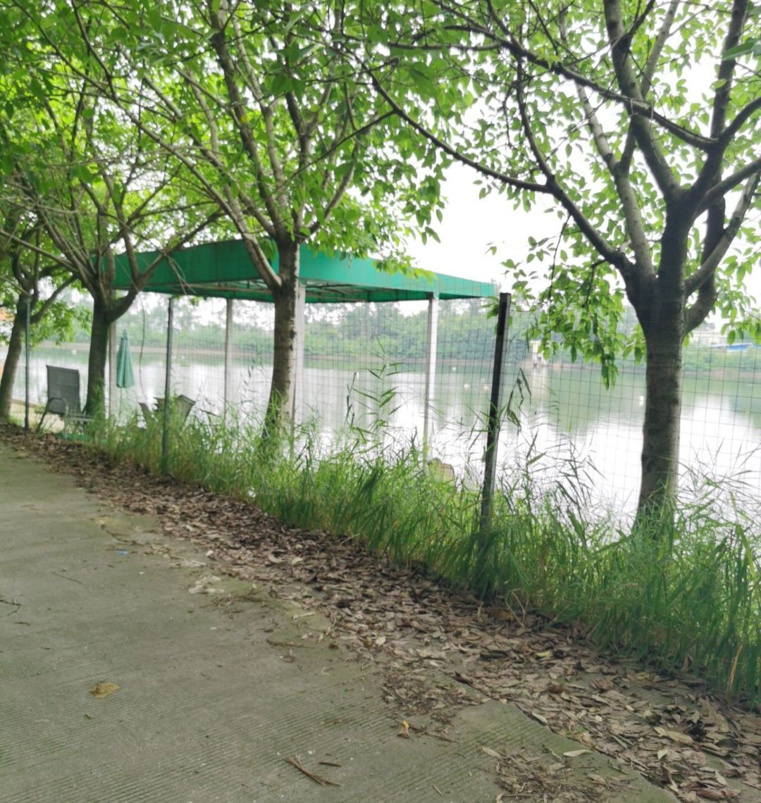 团结水库旅行图片