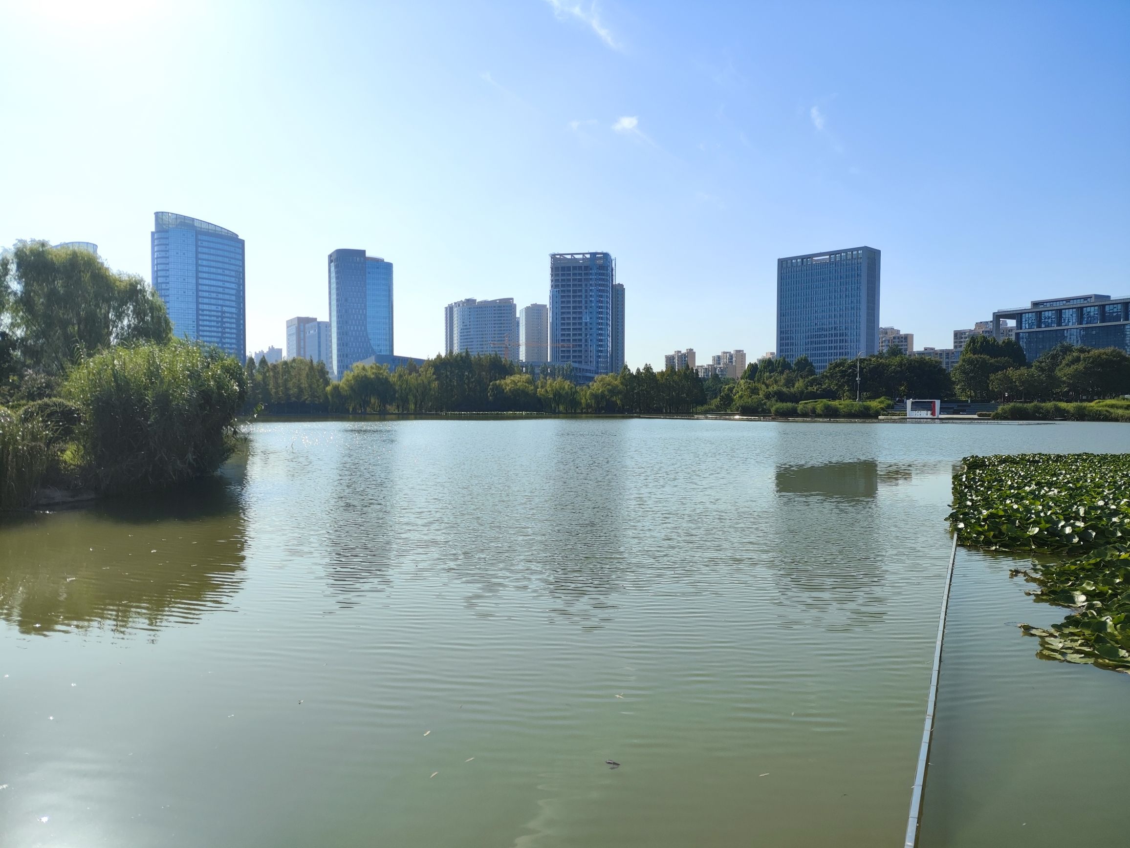 任城湿地公园