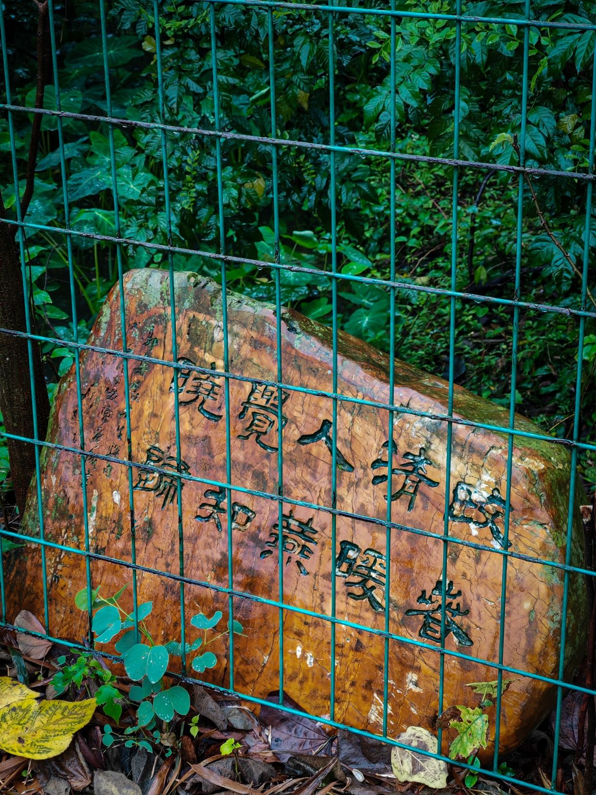广州海珠国家湿地公园旅行图片
